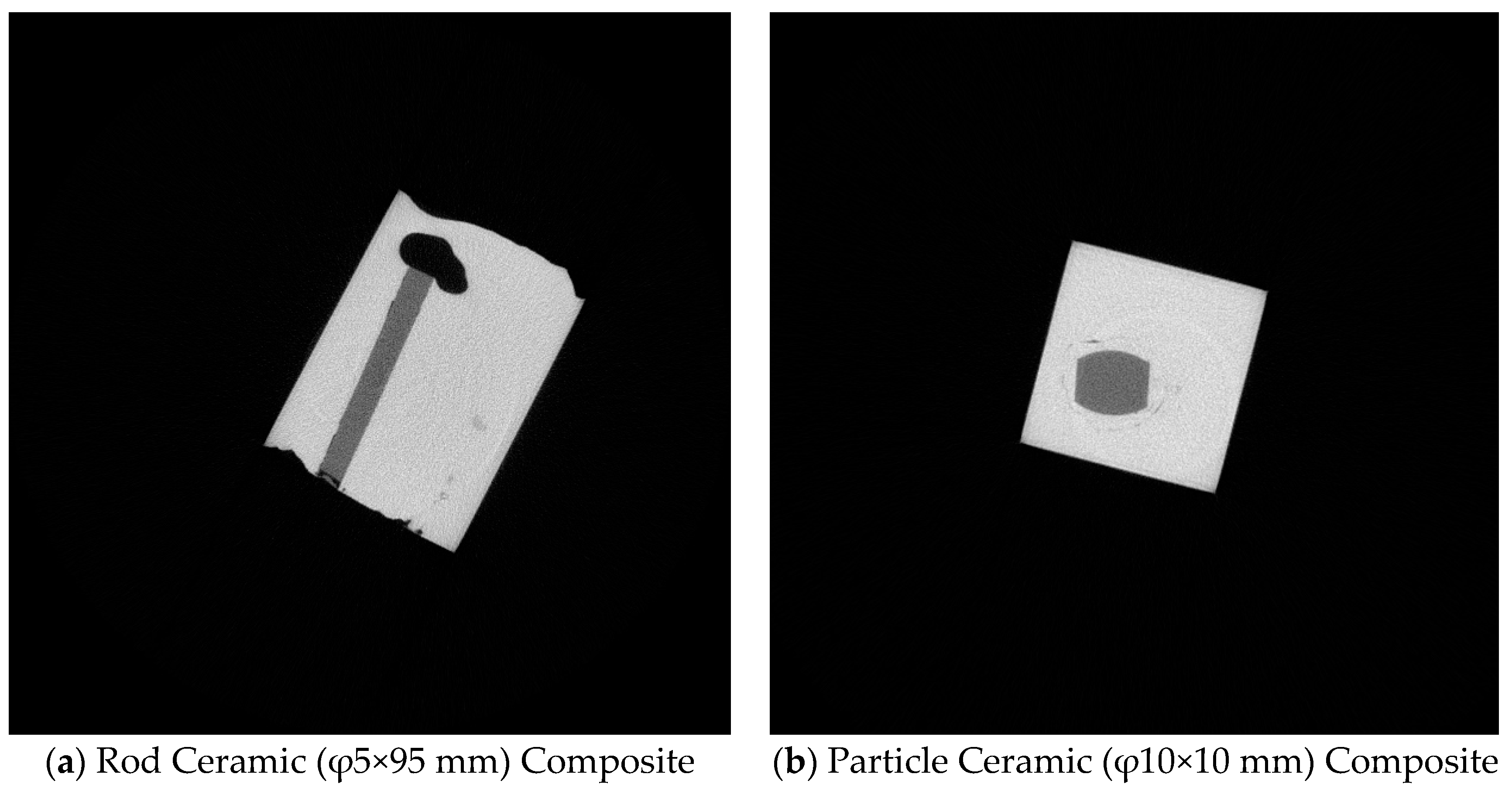 Preprints 114628 g005