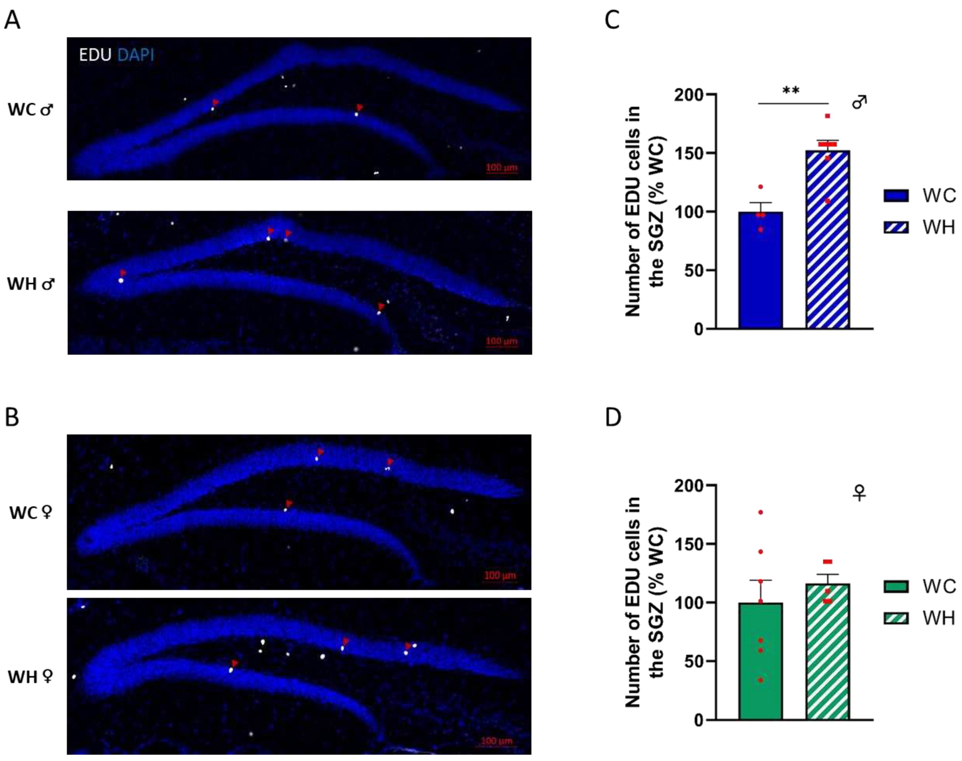 Preprints 87076 g004