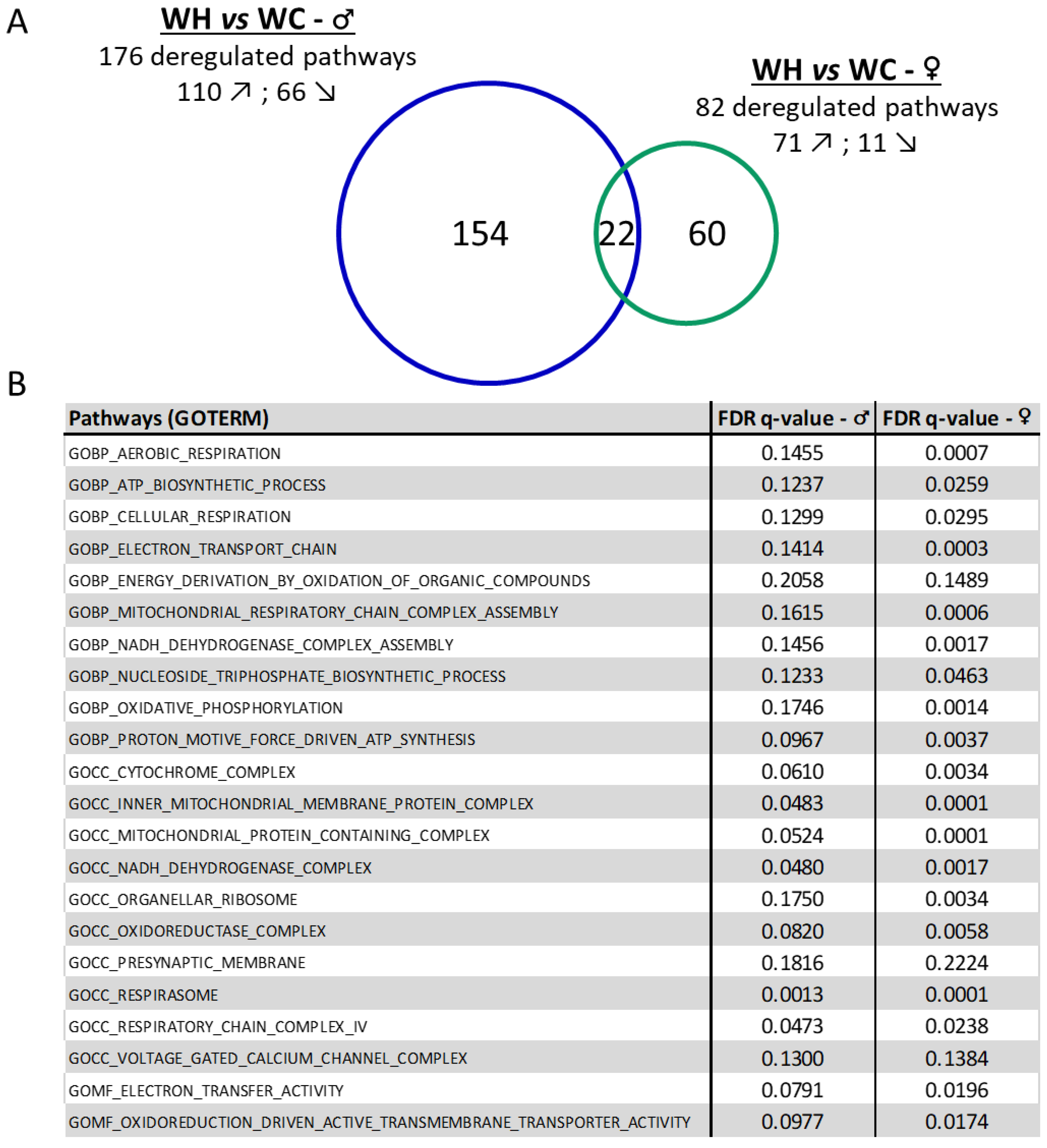 Preprints 87076 g005