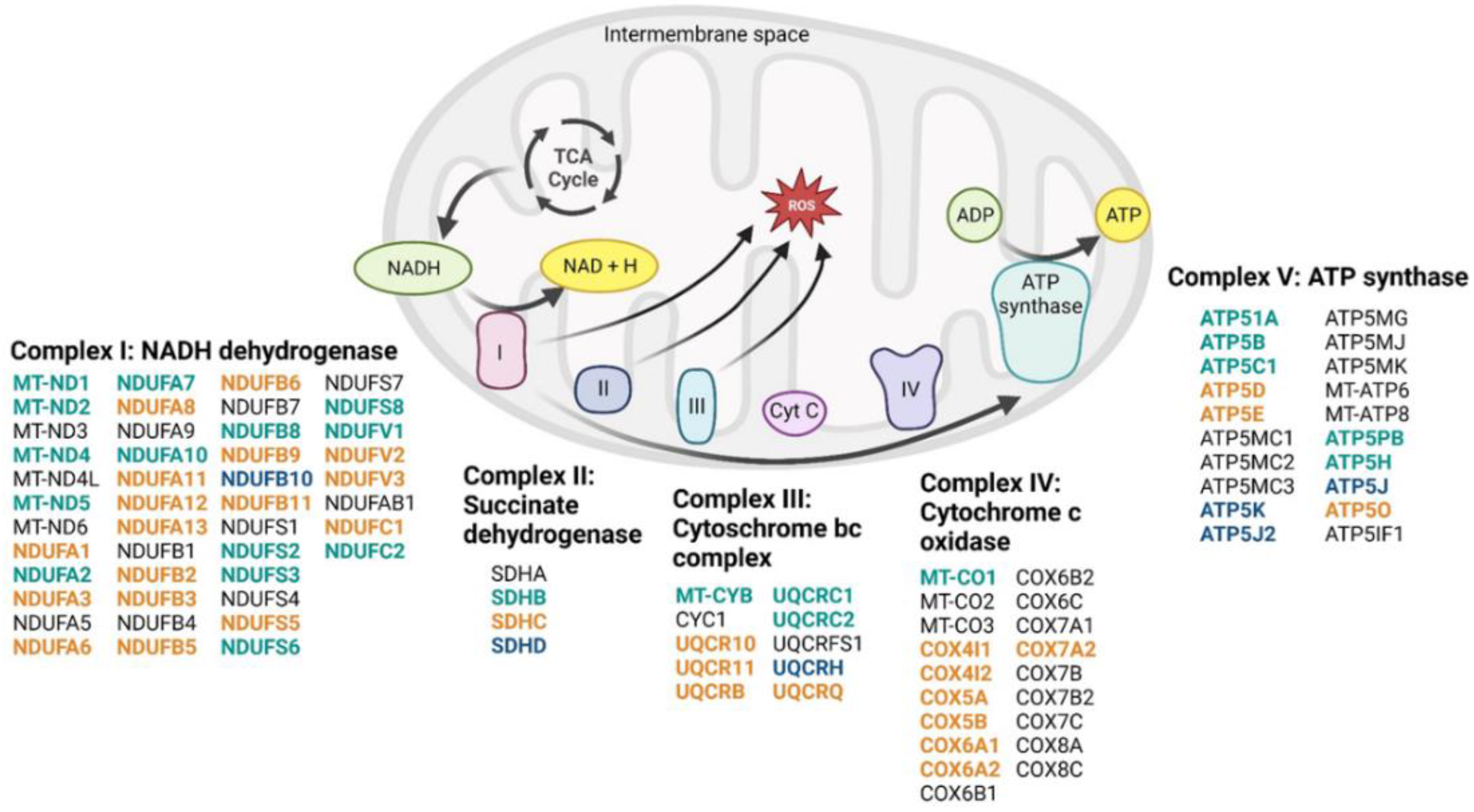 Preprints 87076 g007