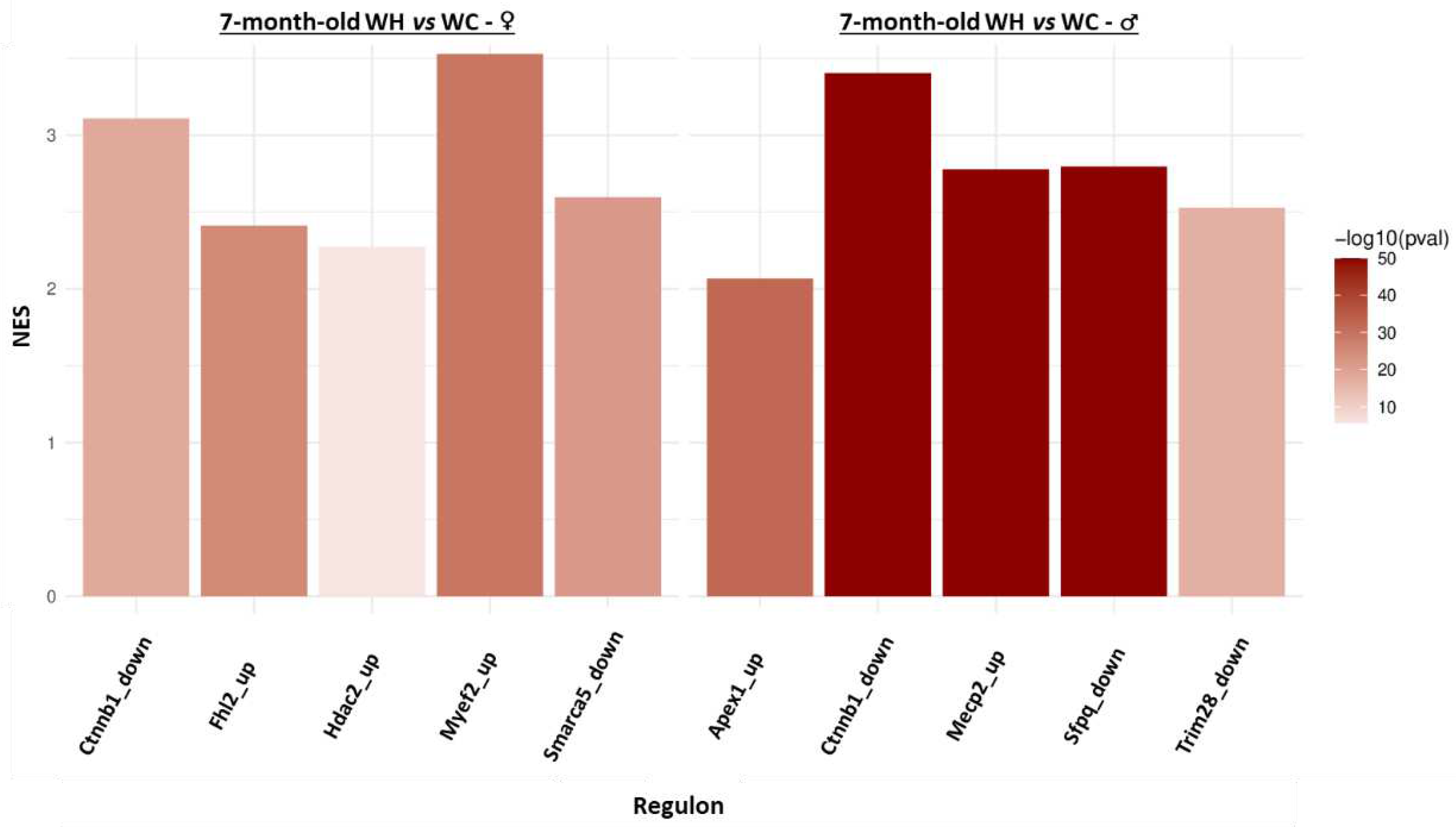 Preprints 87076 g008