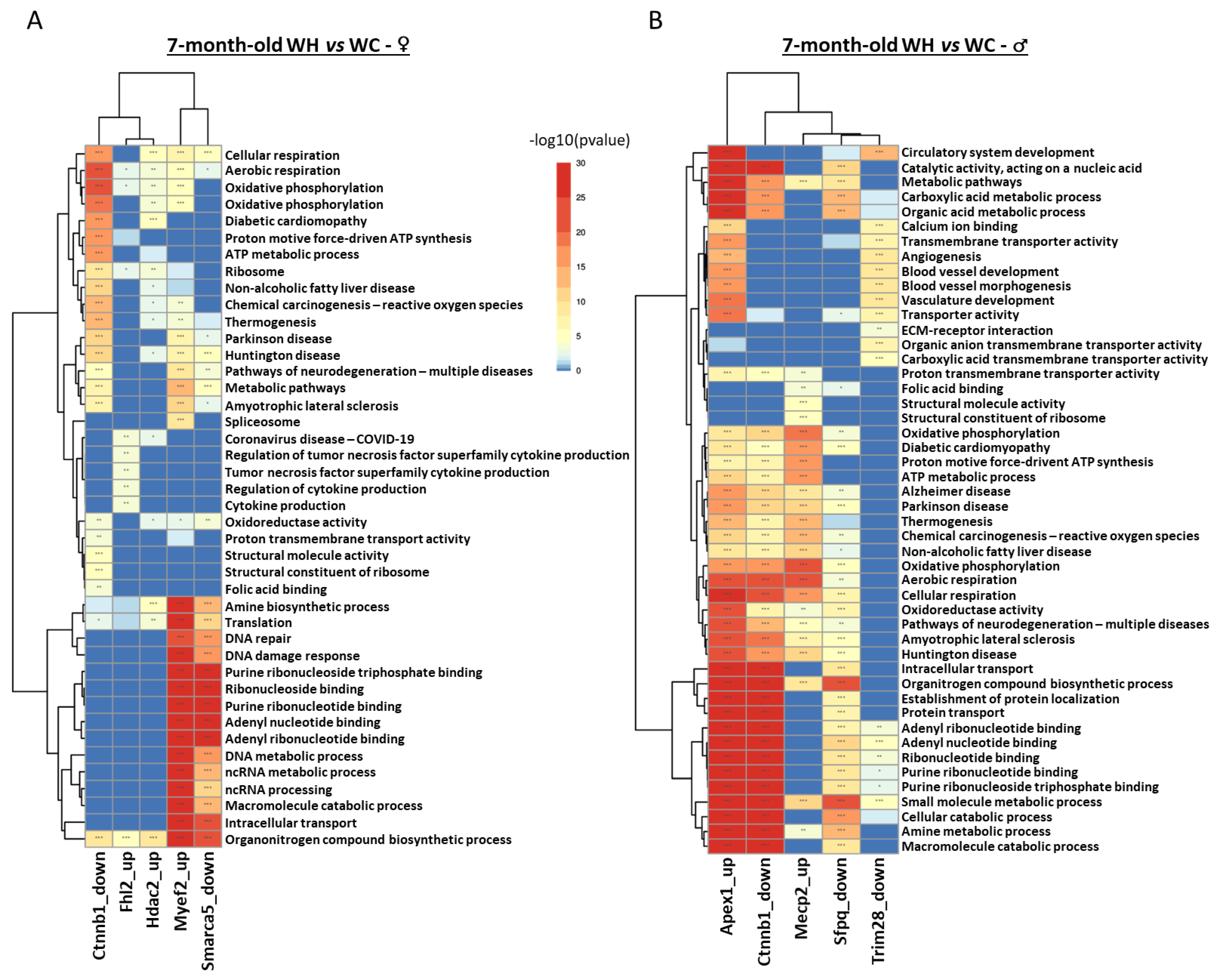 Preprints 87076 g009