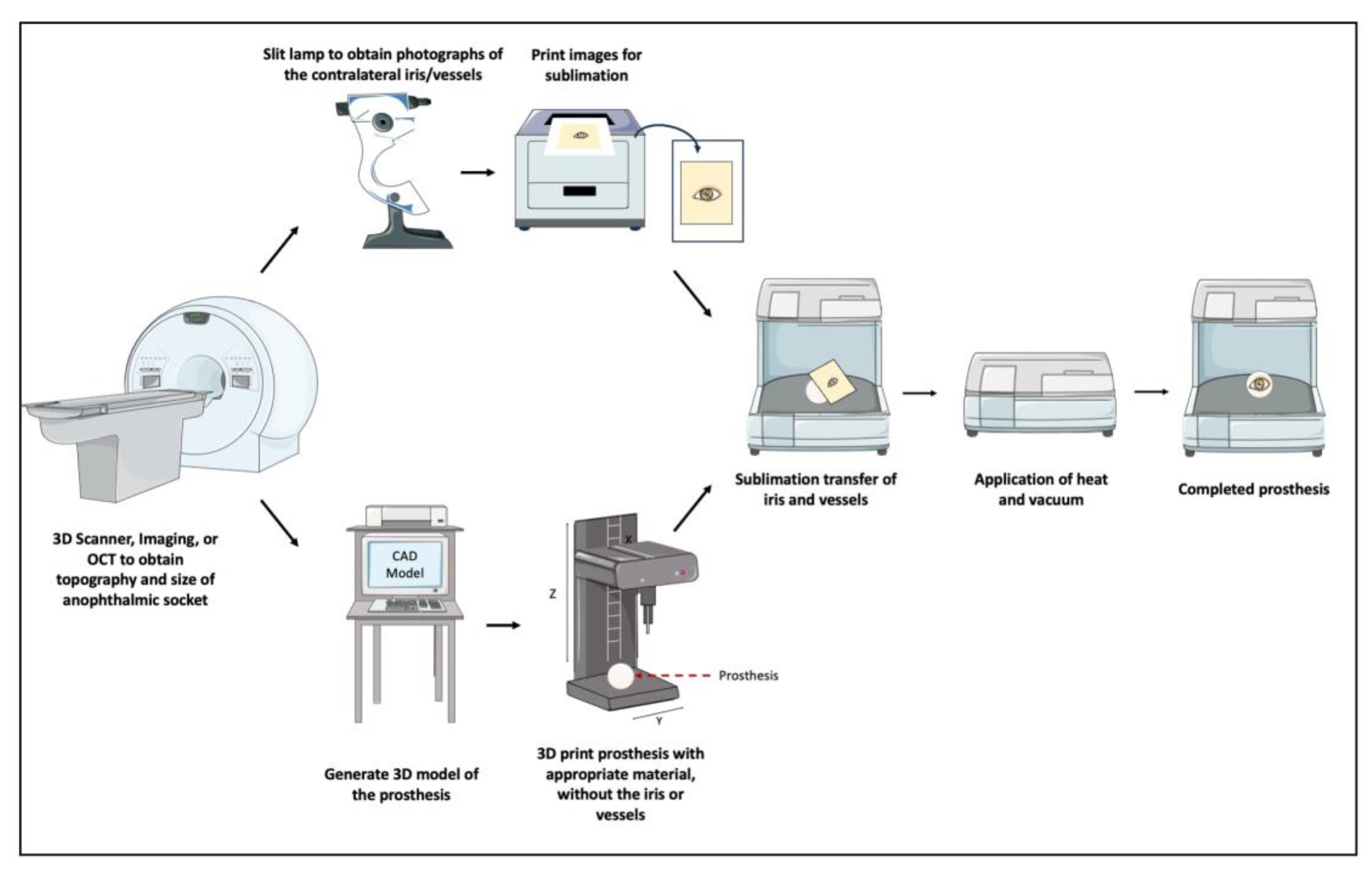 Preprints 116617 g002