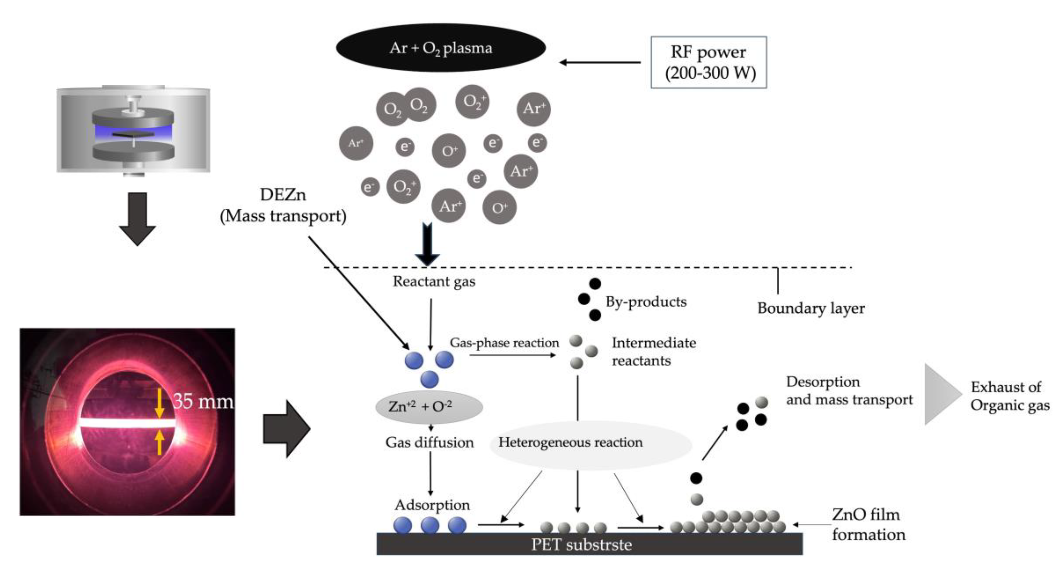 Preprints 112195 g002