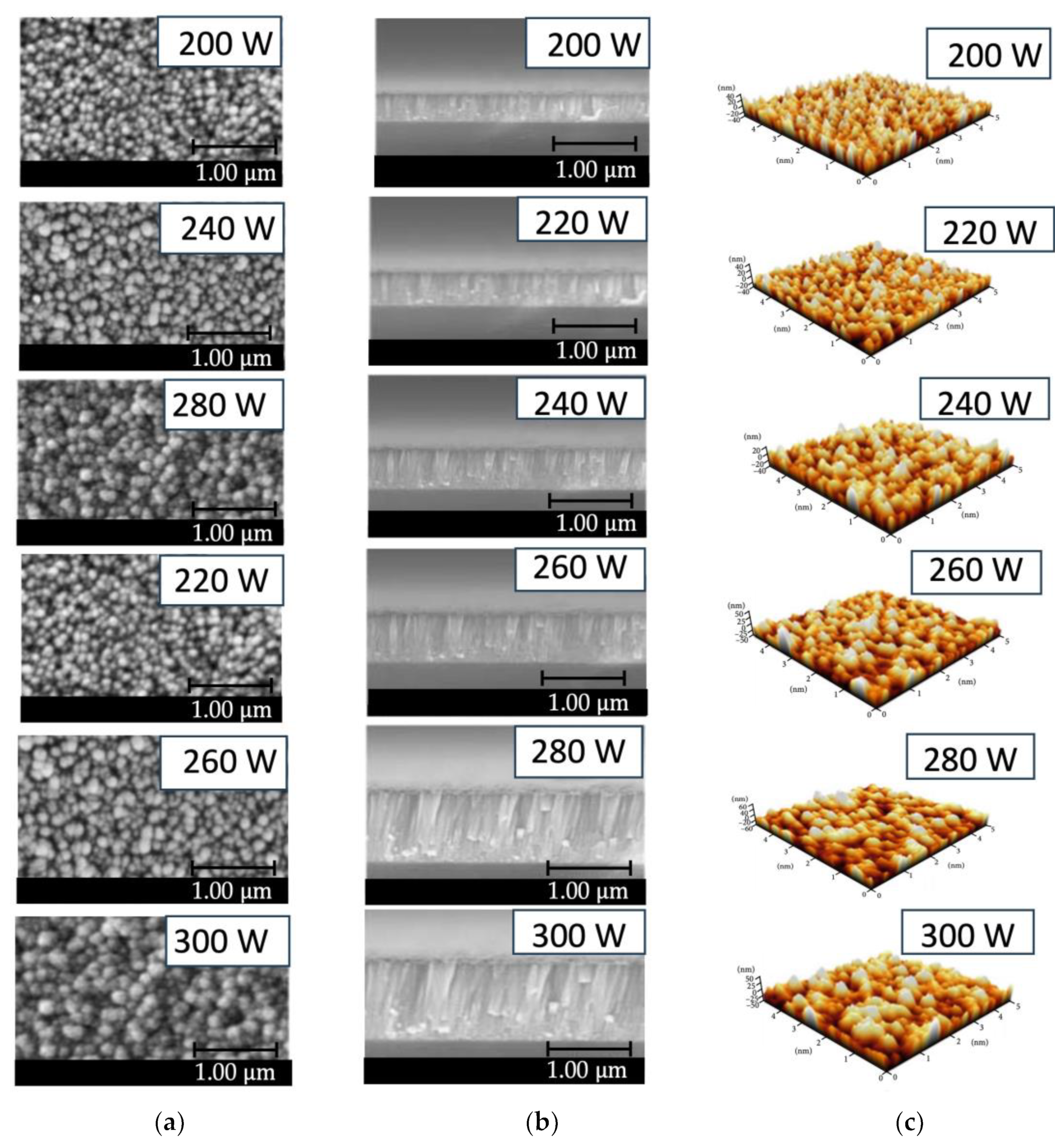 Preprints 112195 g005