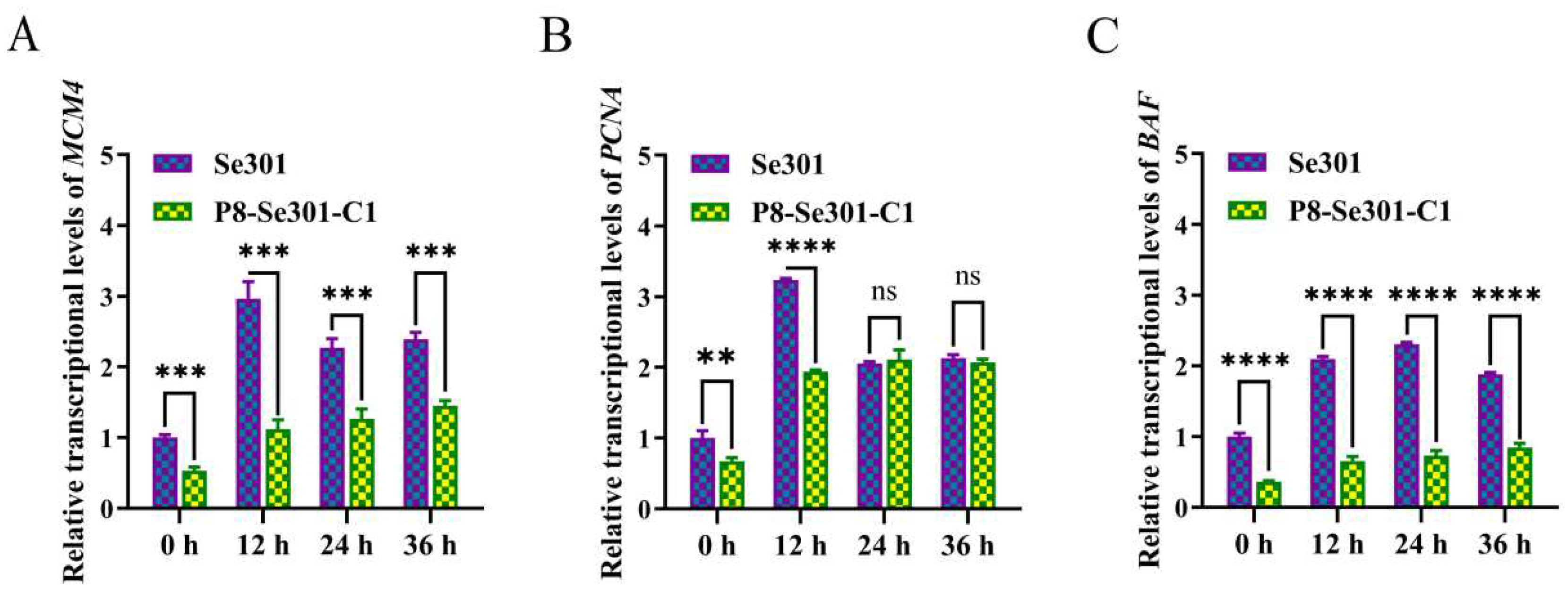 Preprints 98372 g002