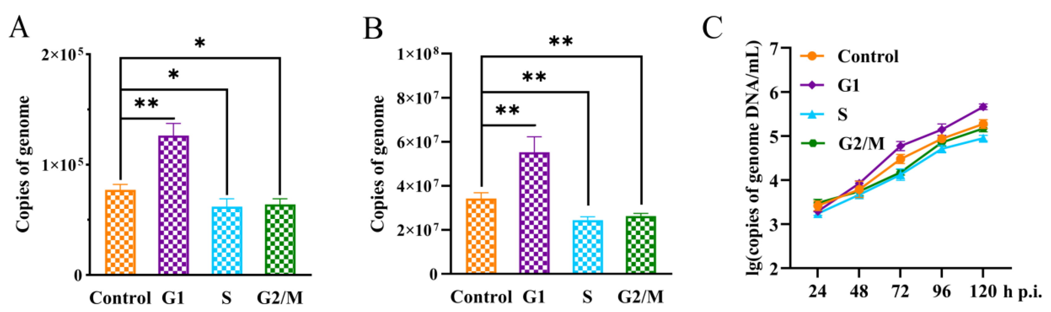 Preprints 98372 g004