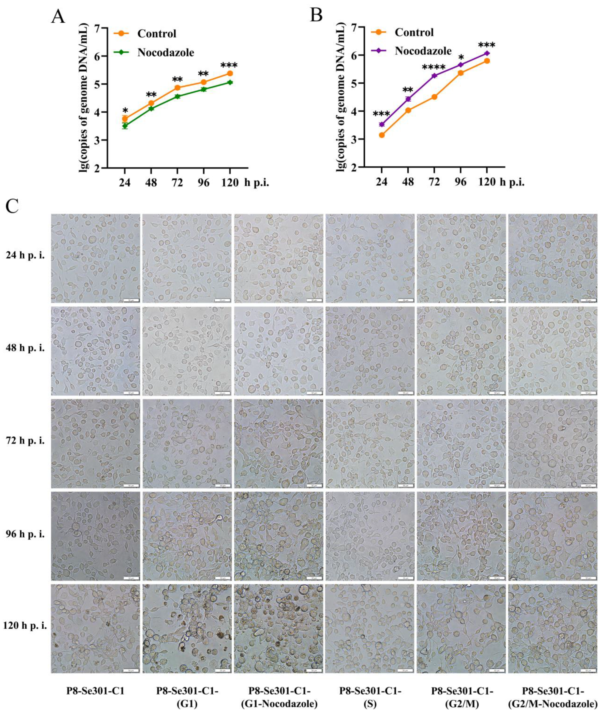 Preprints 98372 g006