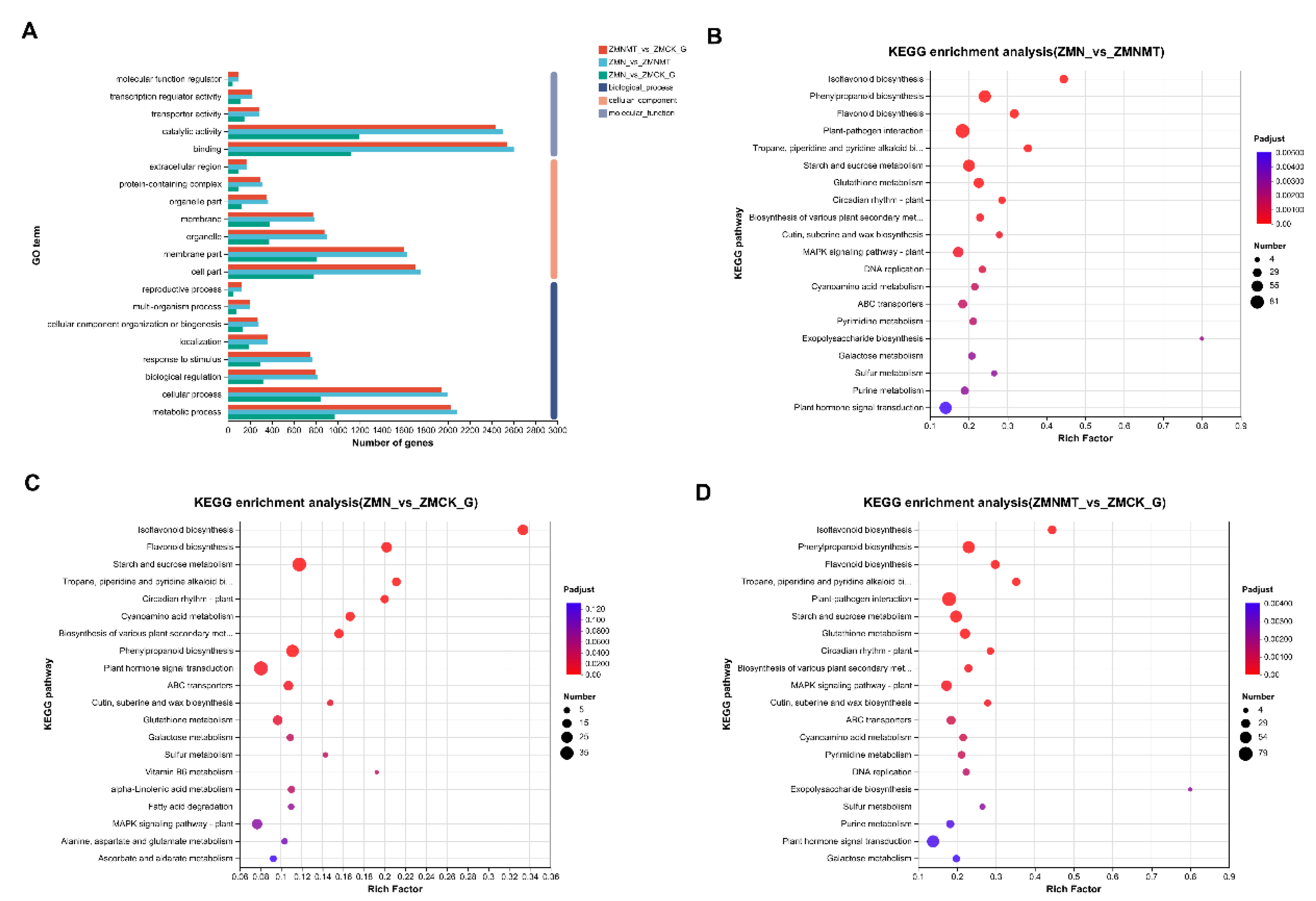 Preprints 101060 g004