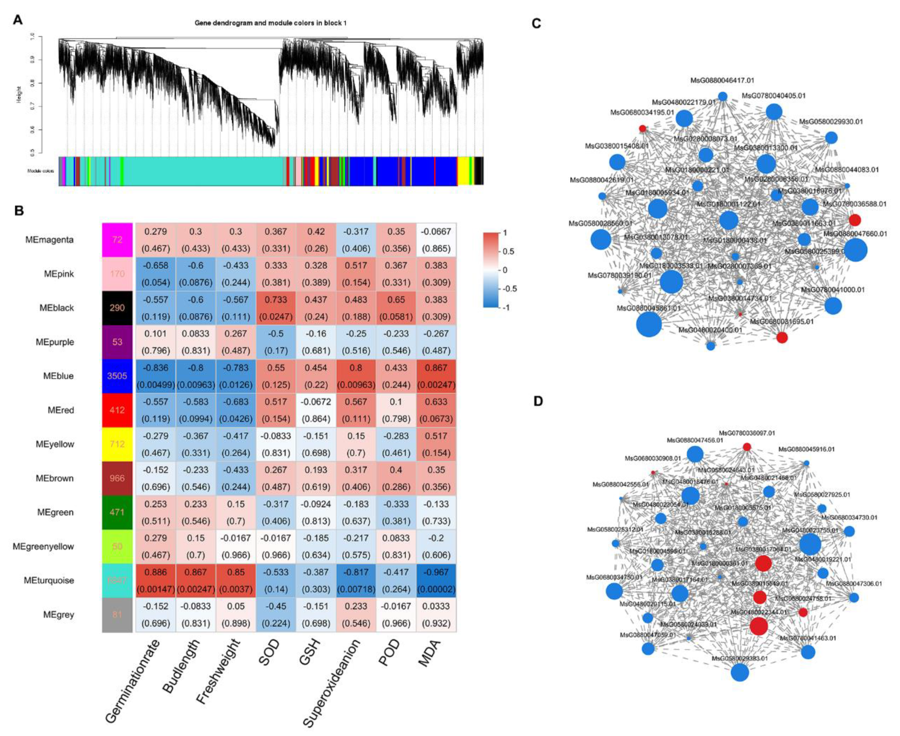 Preprints 101060 g005