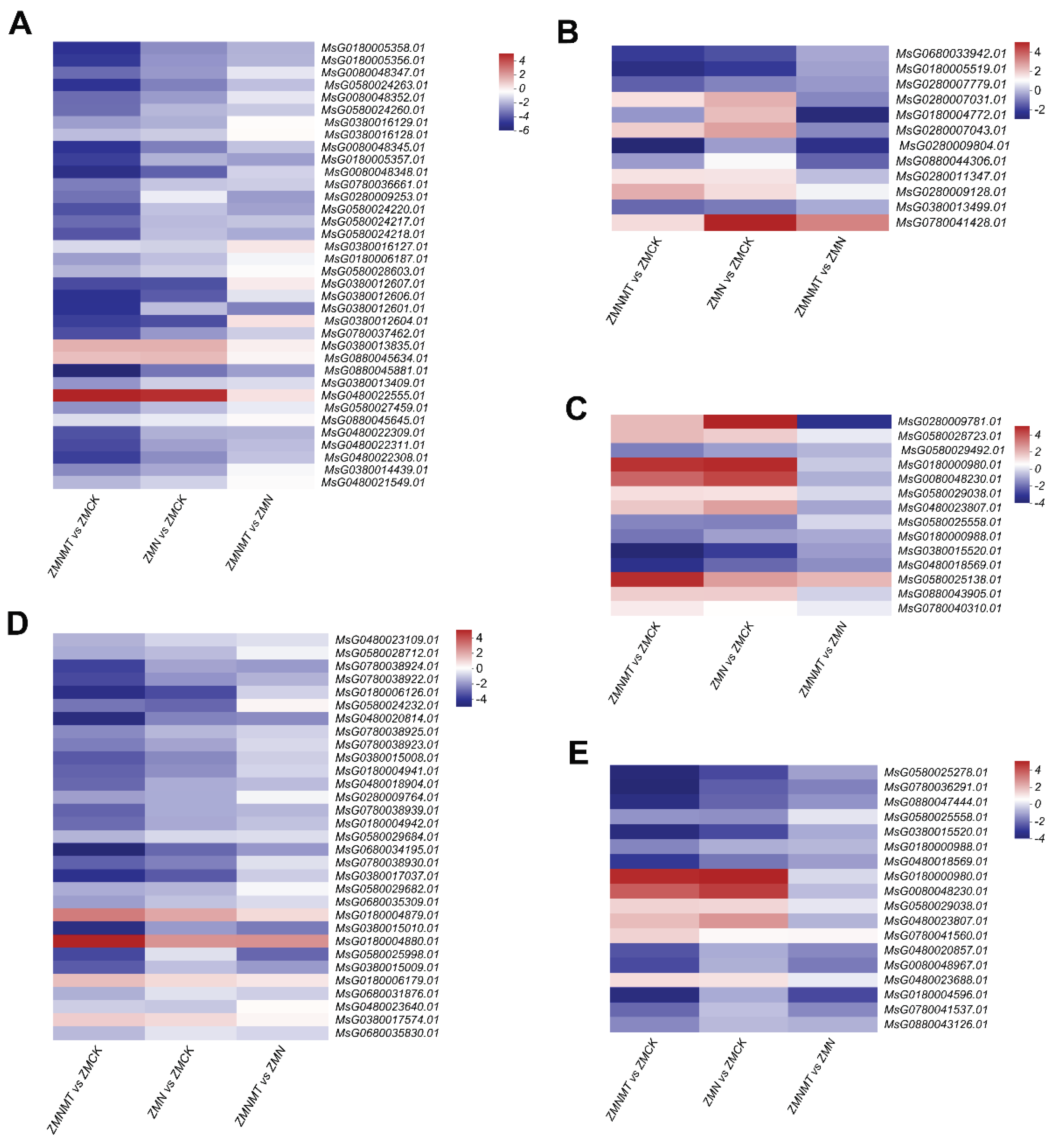 Preprints 101060 g006