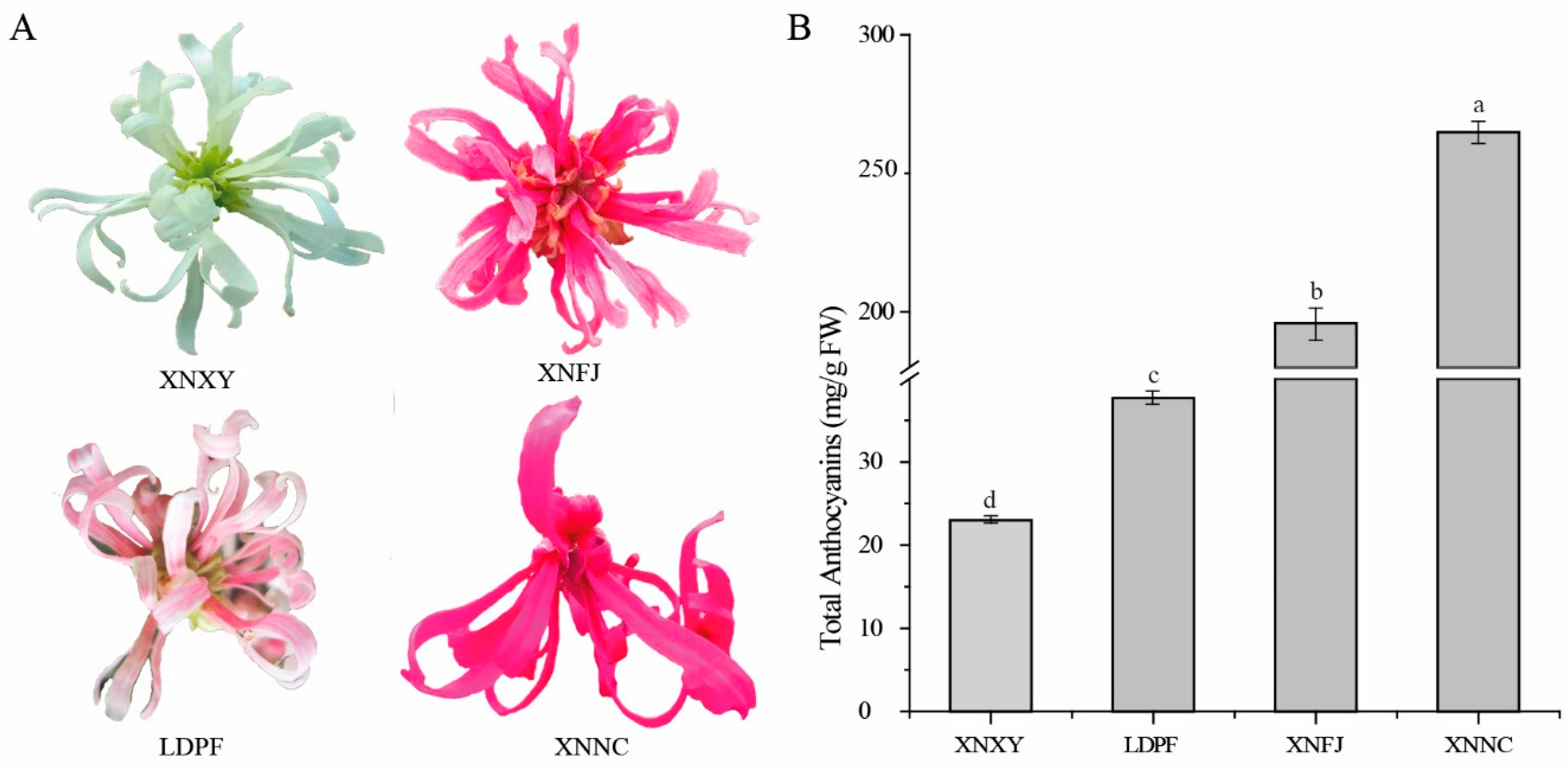 Preprints 70900 g001