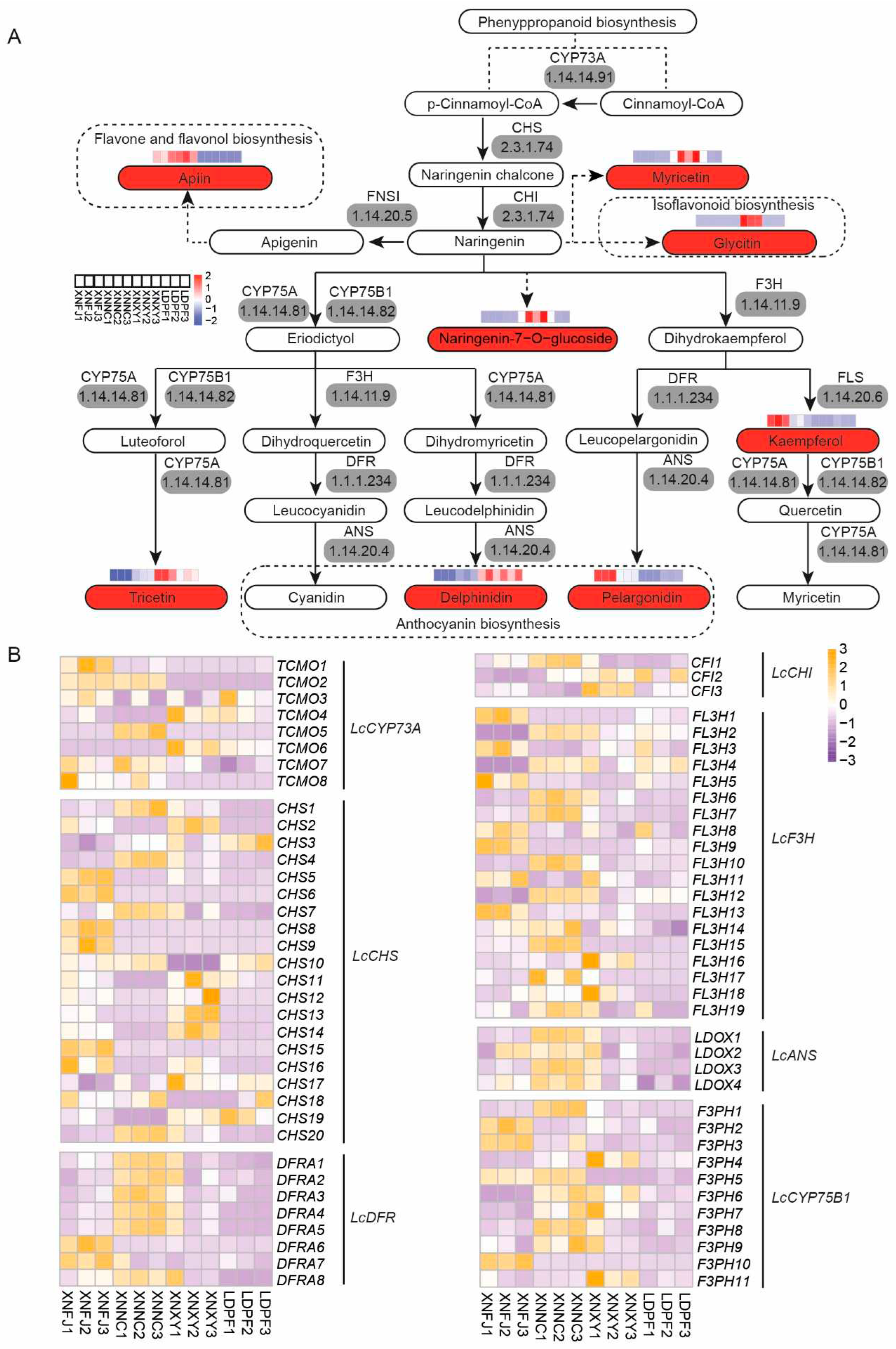 Preprints 70900 g005