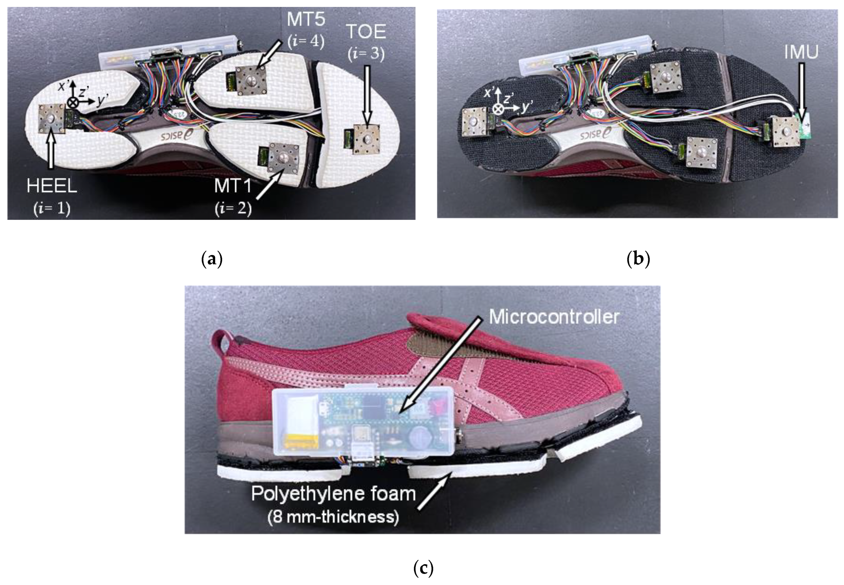 Preprints 117579 g001