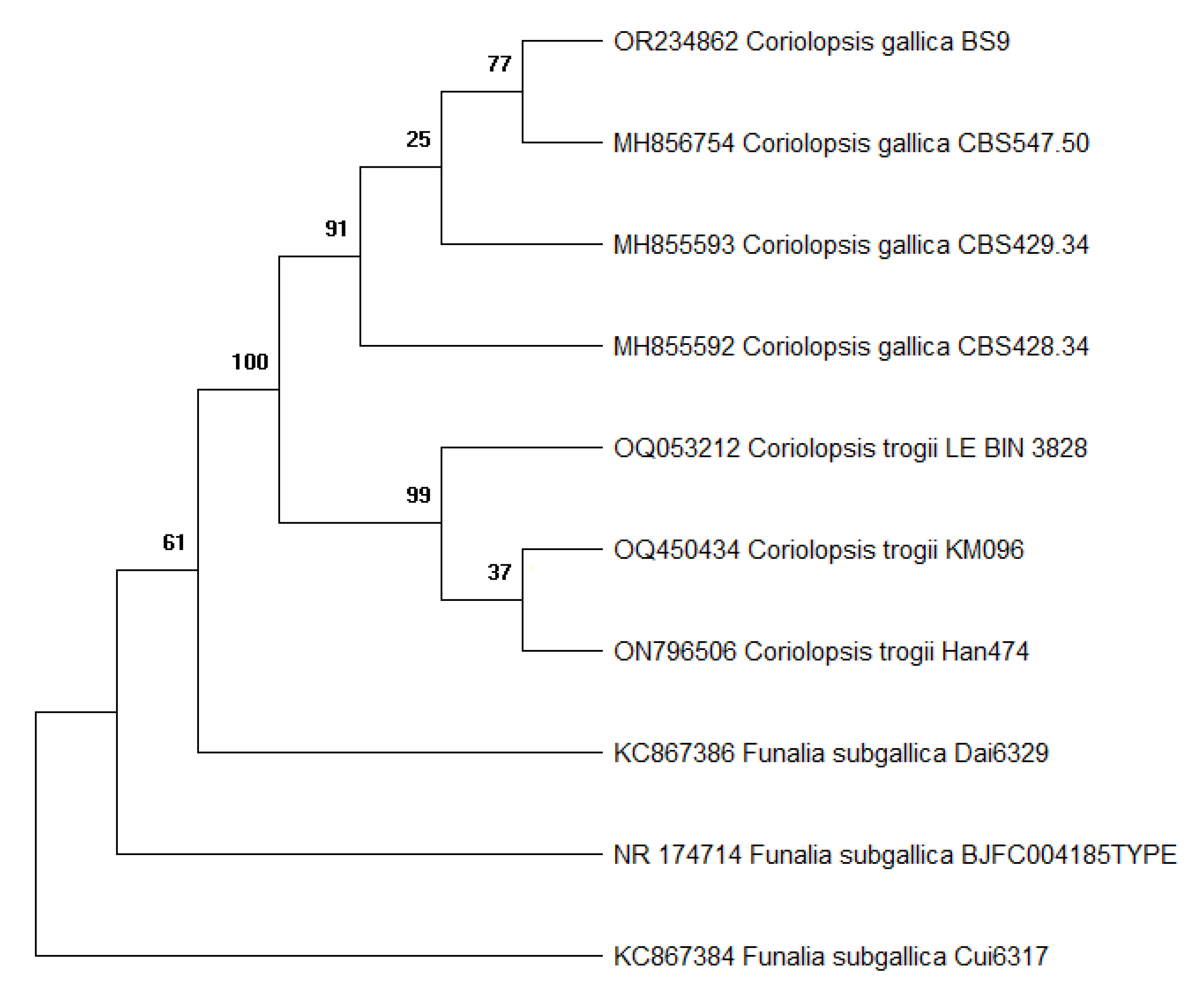 Preprints 92532 g002