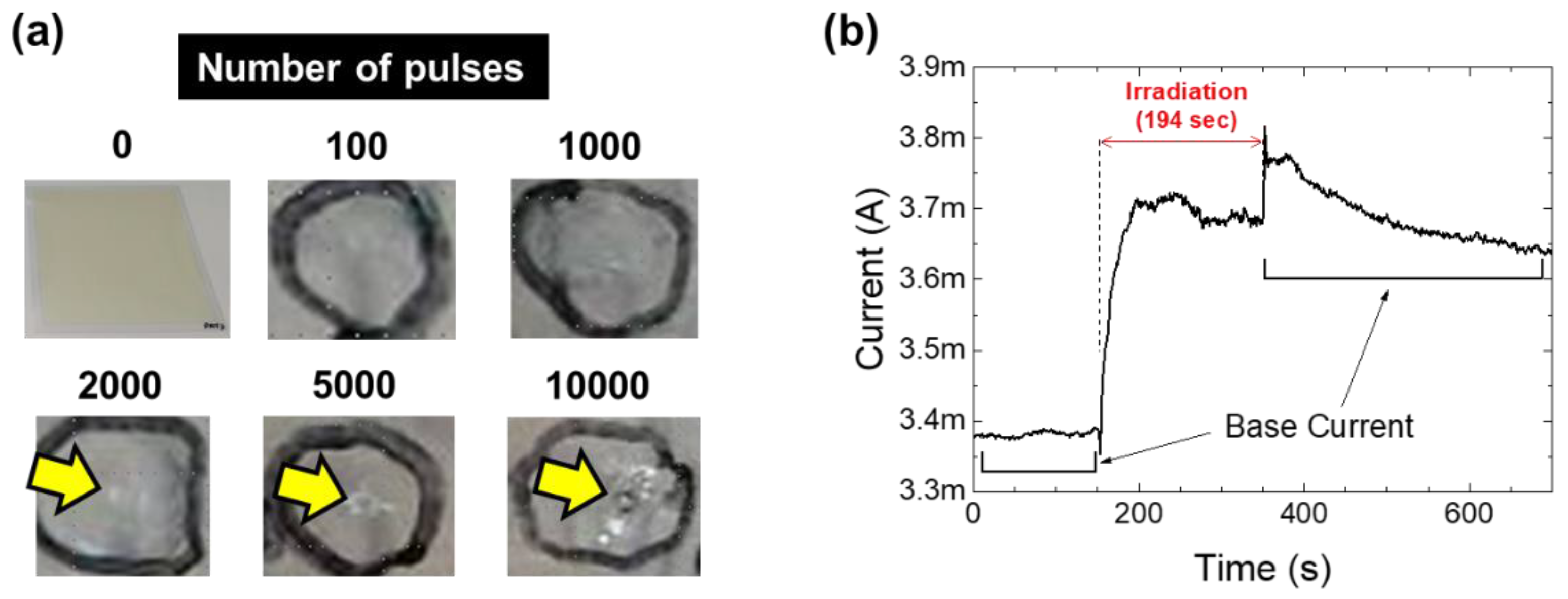 Preprints 84881 g005