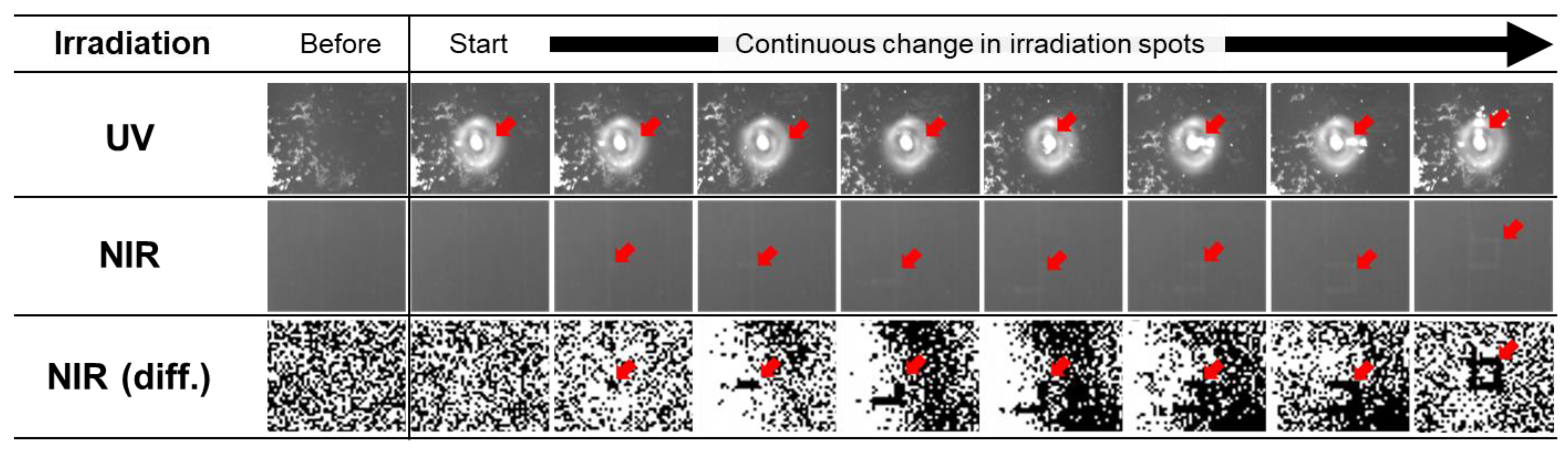 Preprints 84881 g009