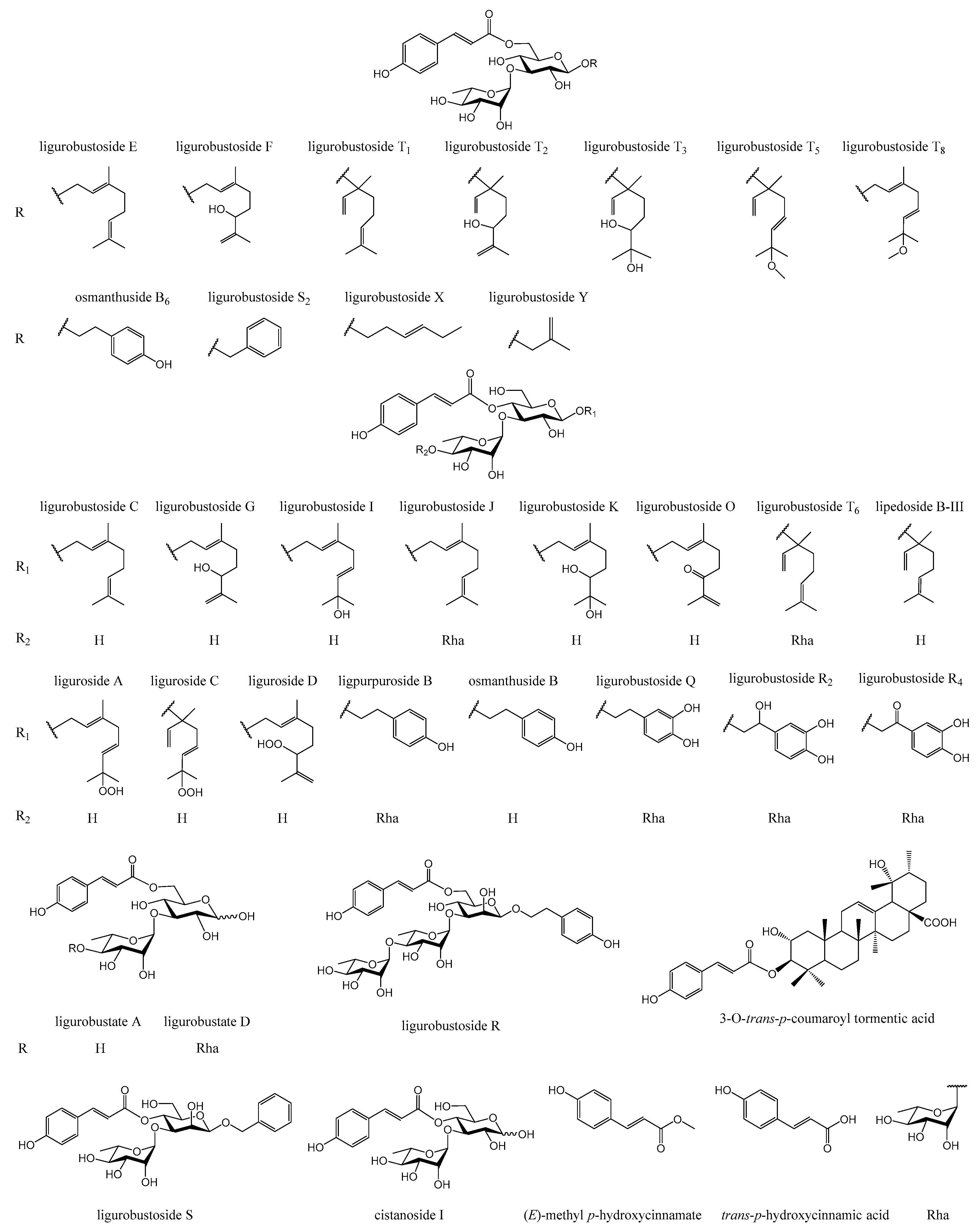 Preprints 73876 g001