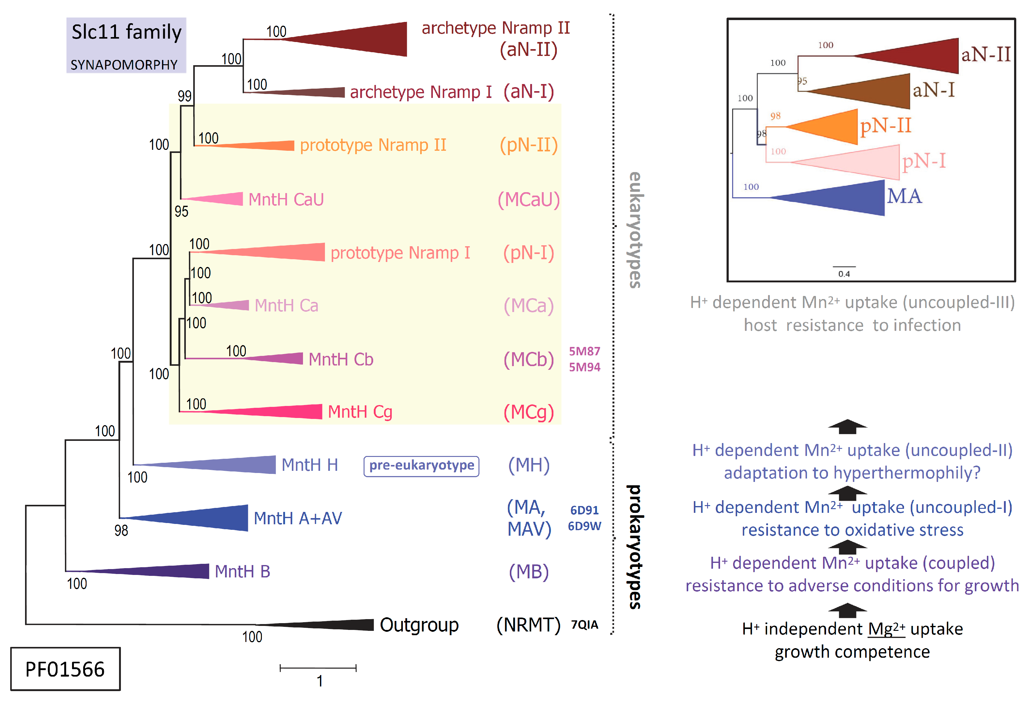 Preprints 82611 g001