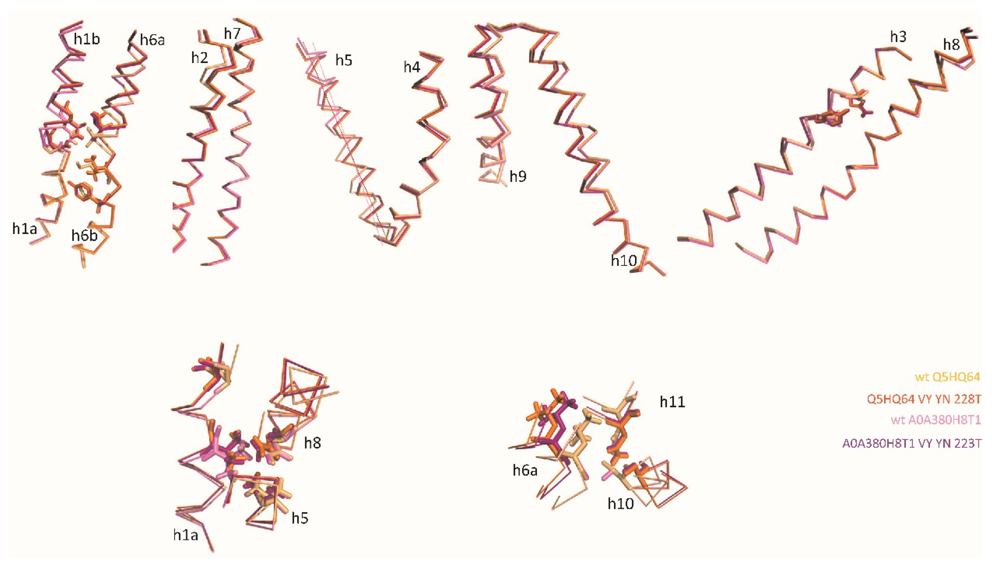 Preprints 82611 g005