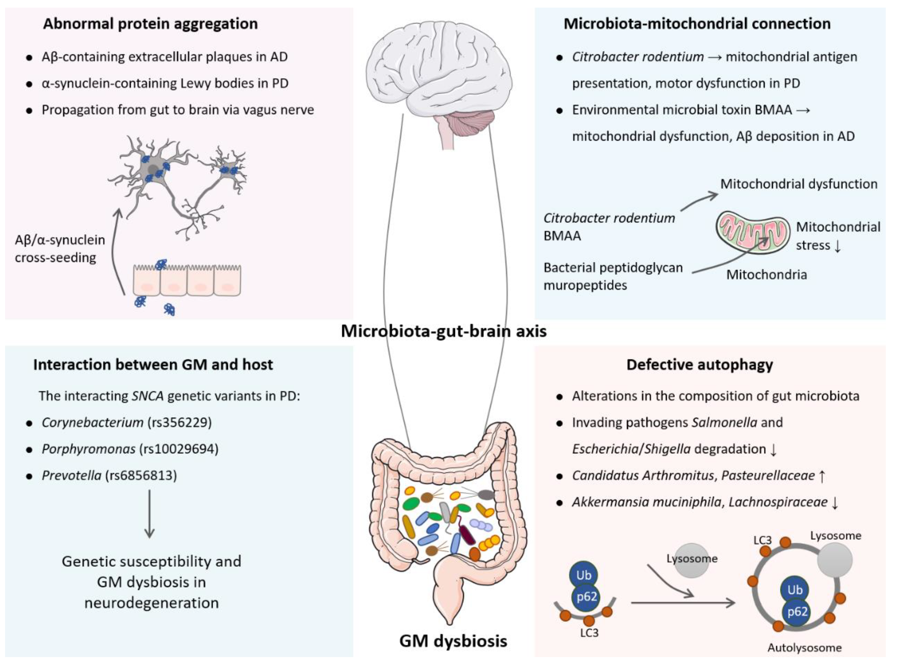 Preprints 73044 g001