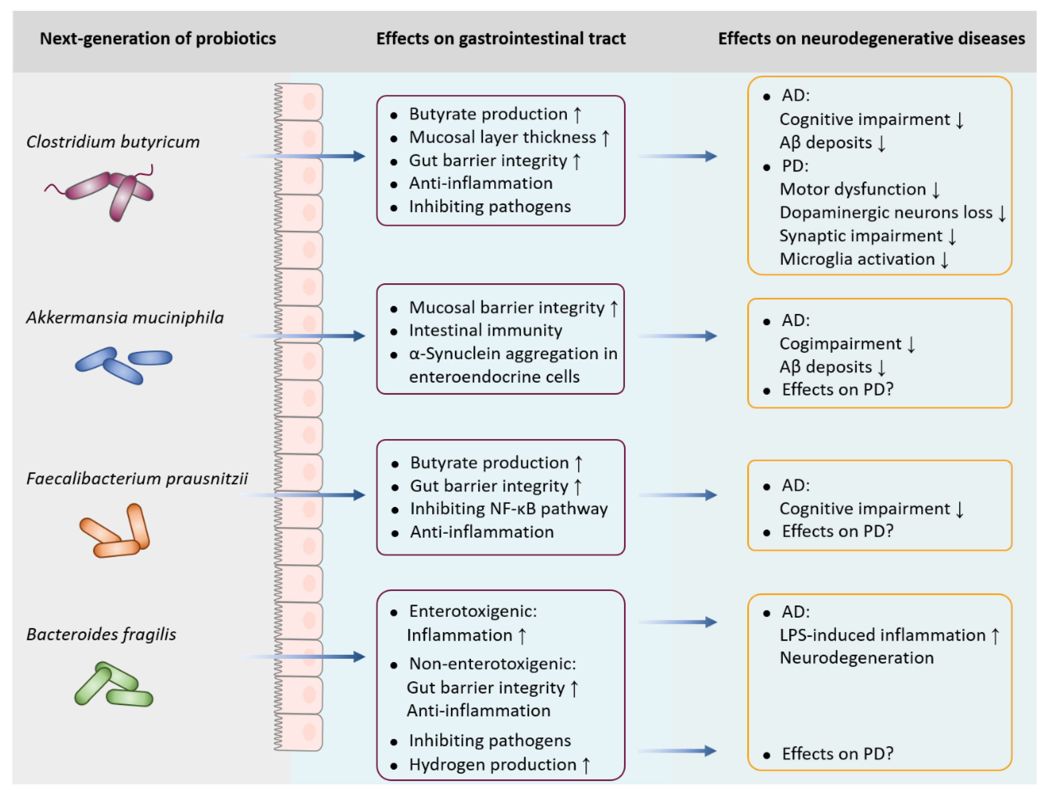 Preprints 73044 g002