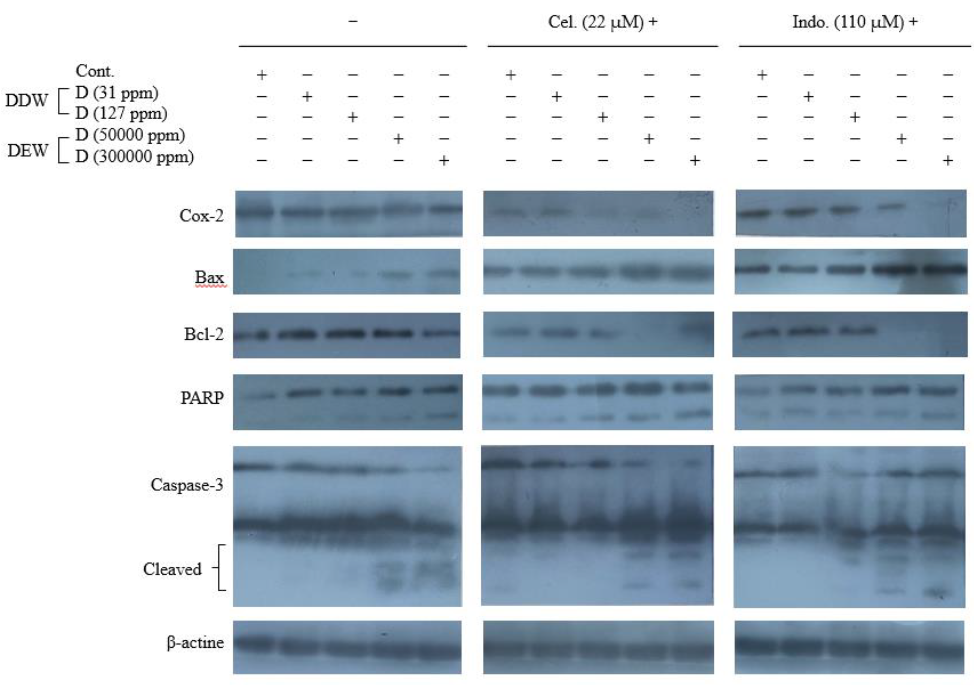 Preprints 74896 g004