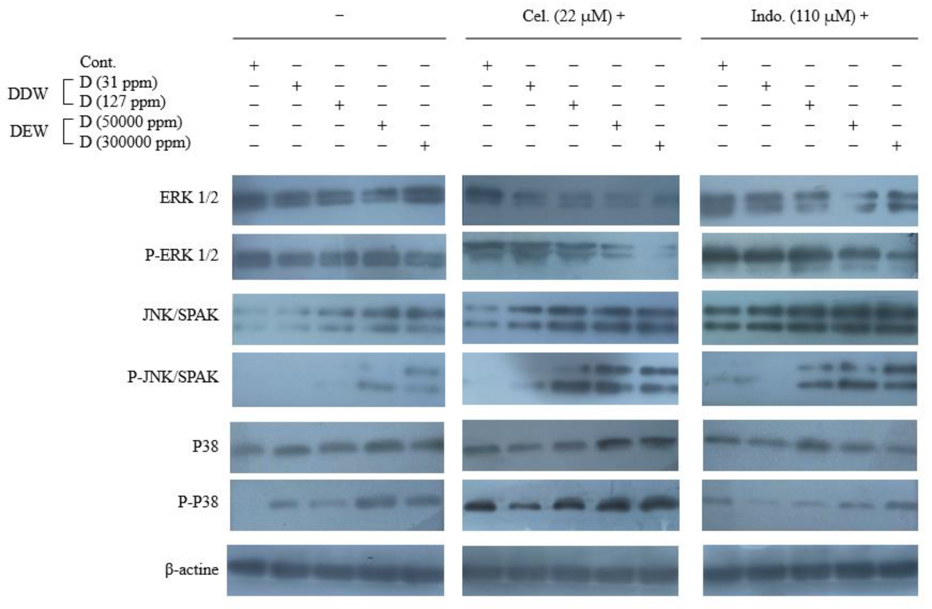 Preprints 74896 g005