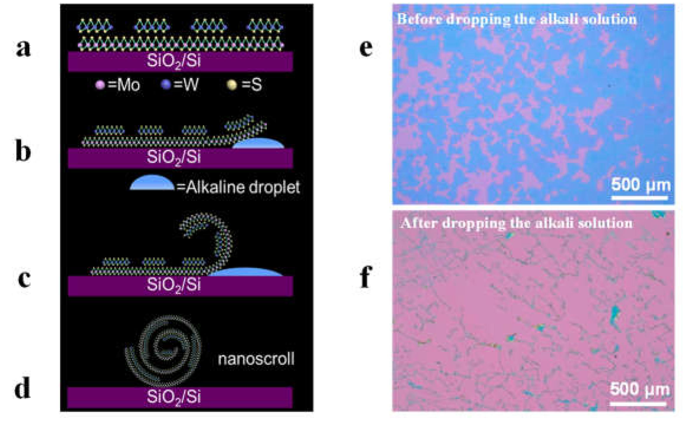 Preprints 80064 g004