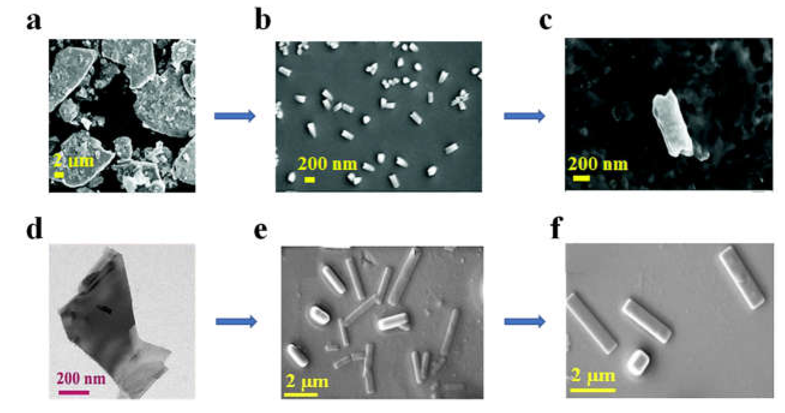 Preprints 80064 g007