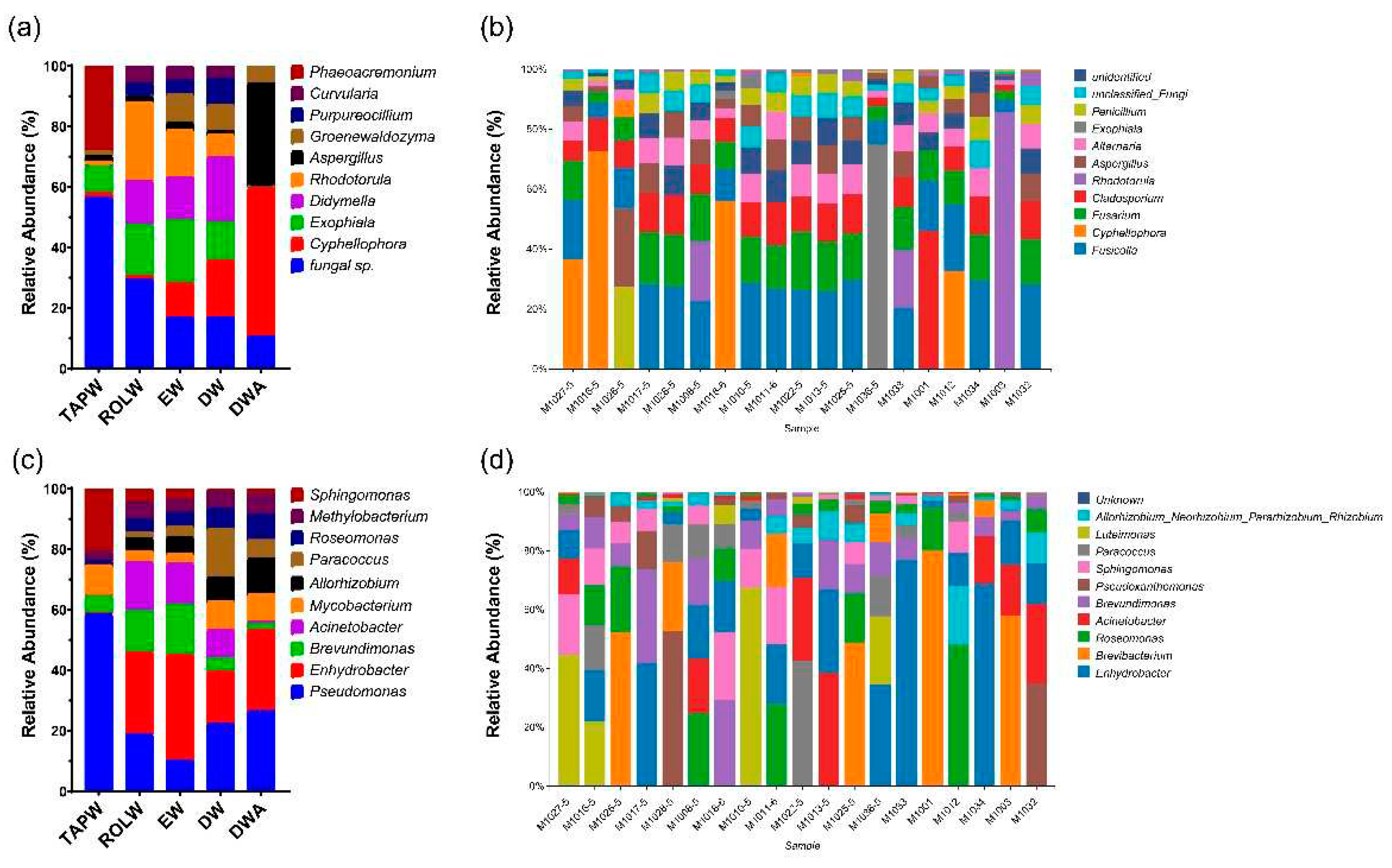 Preprints 91900 g001