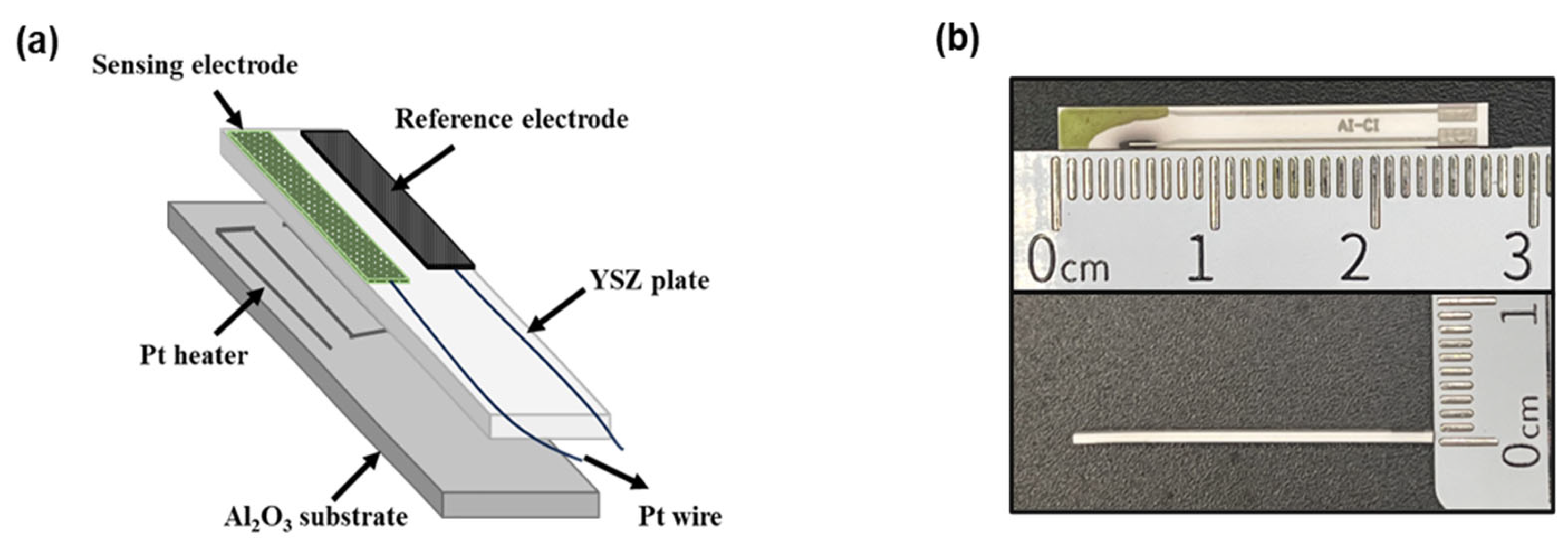 Preprints 122114 g001