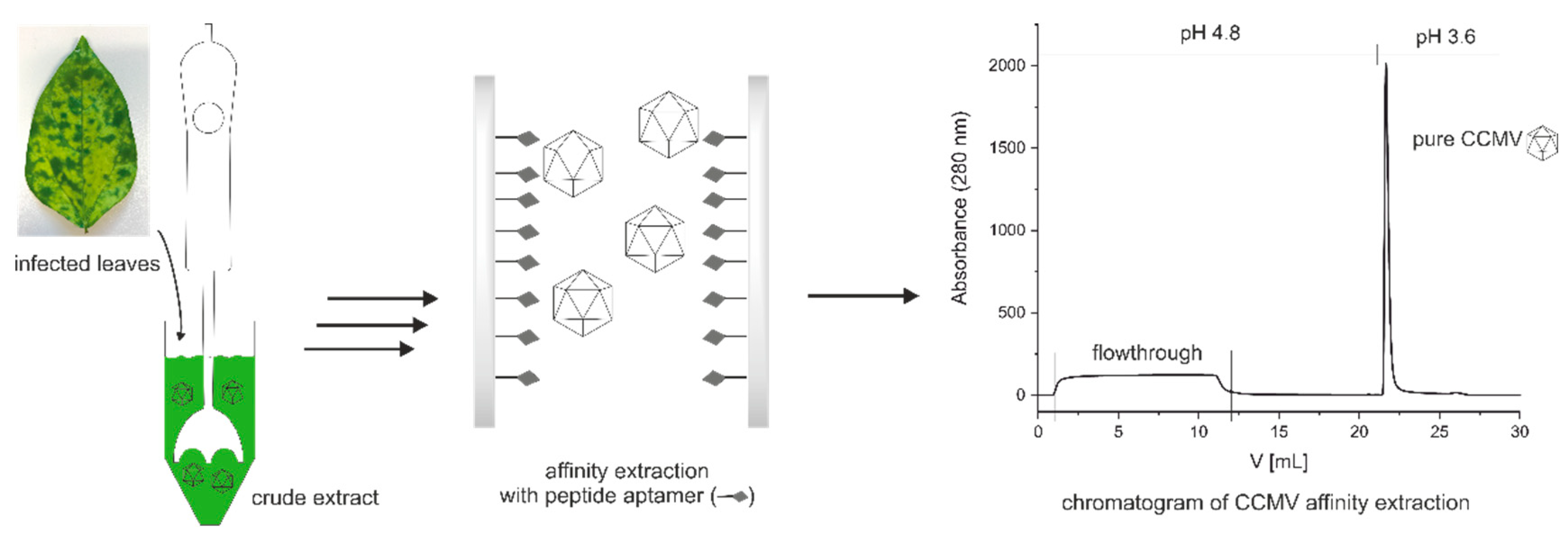 Preprints 67896 g002