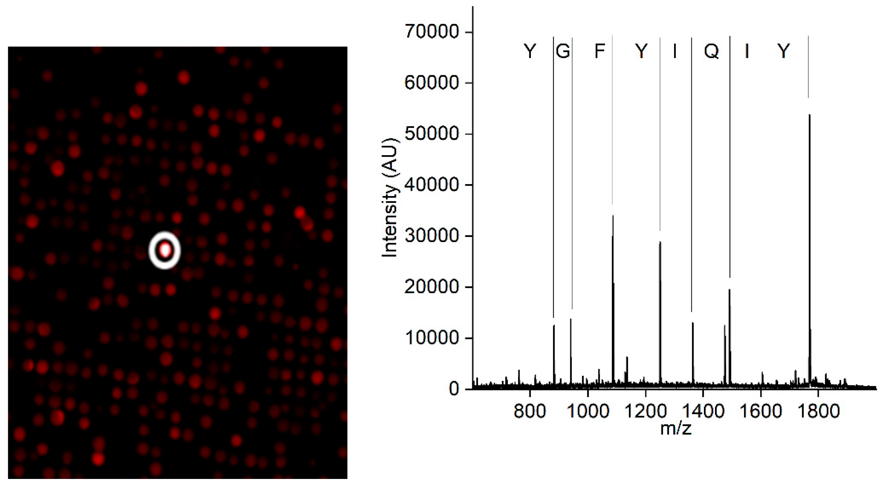 Preprints 67896 g003