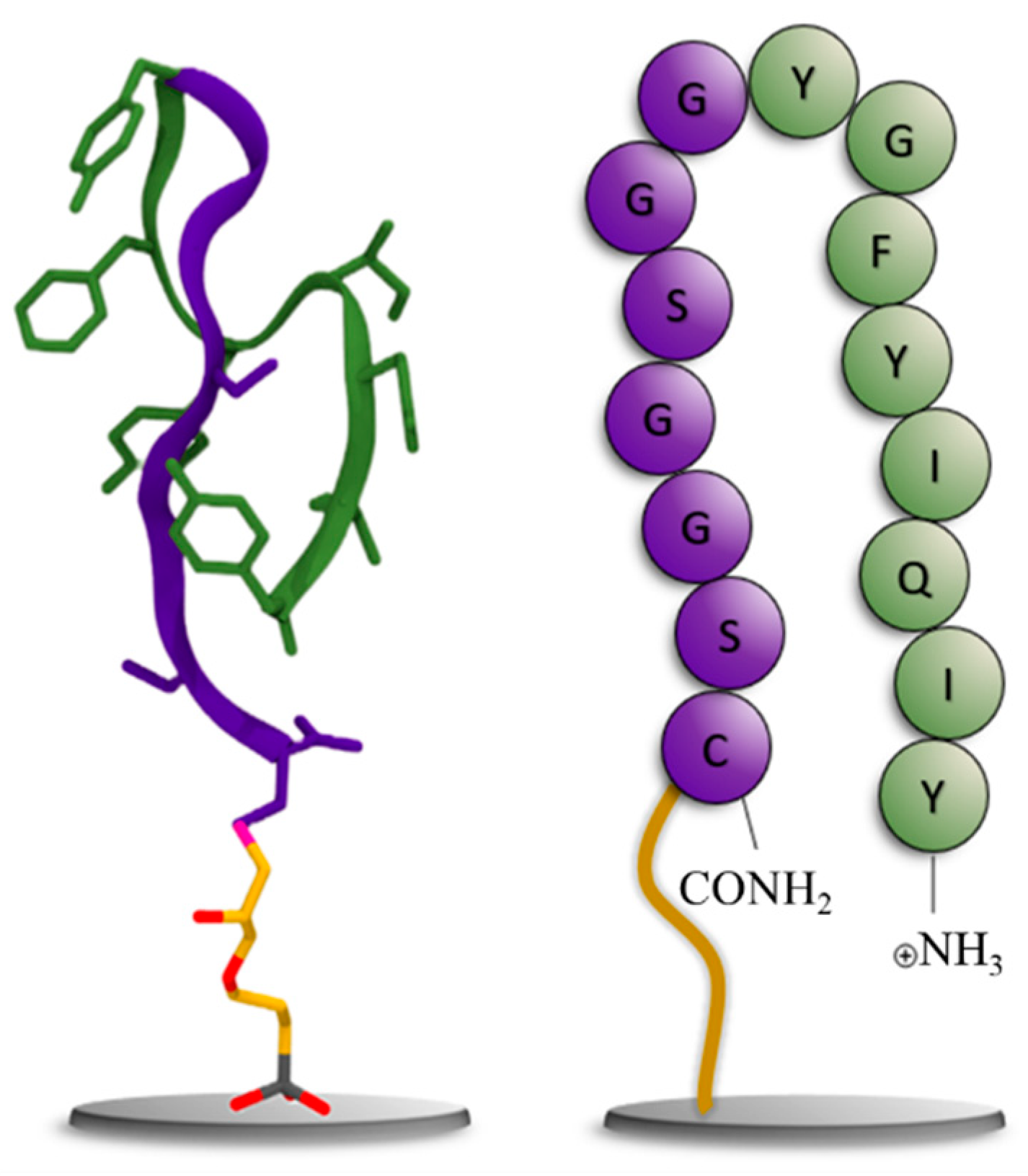 Preprints 67896 g004