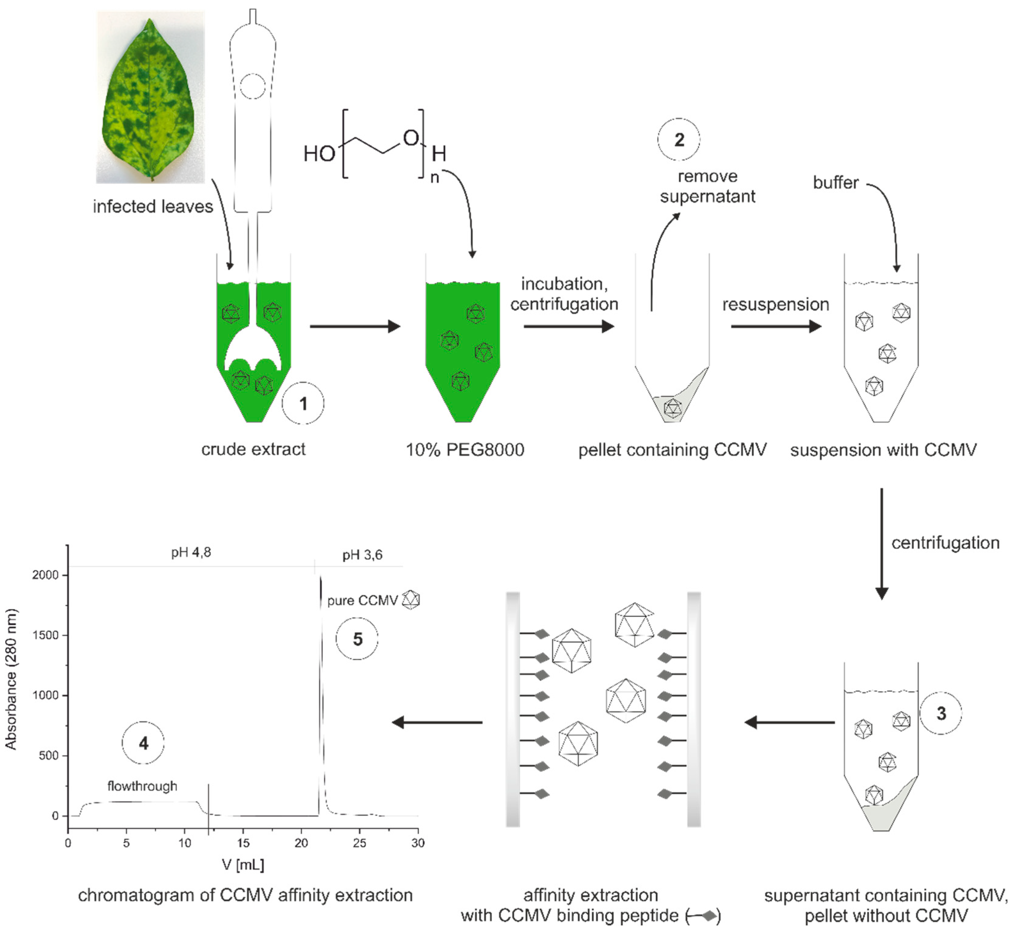 Preprints 67896 g007