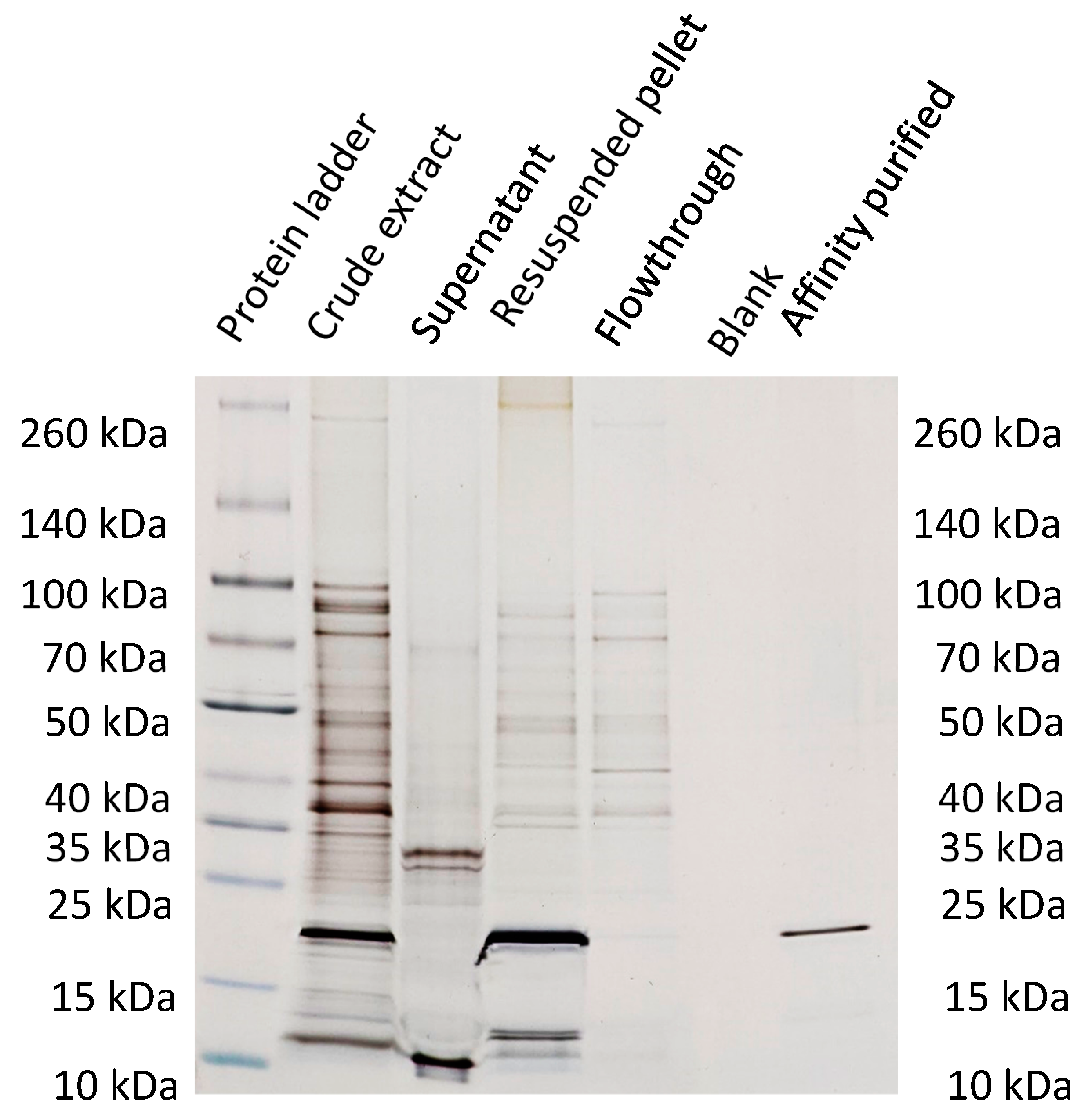 Preprints 67896 g008