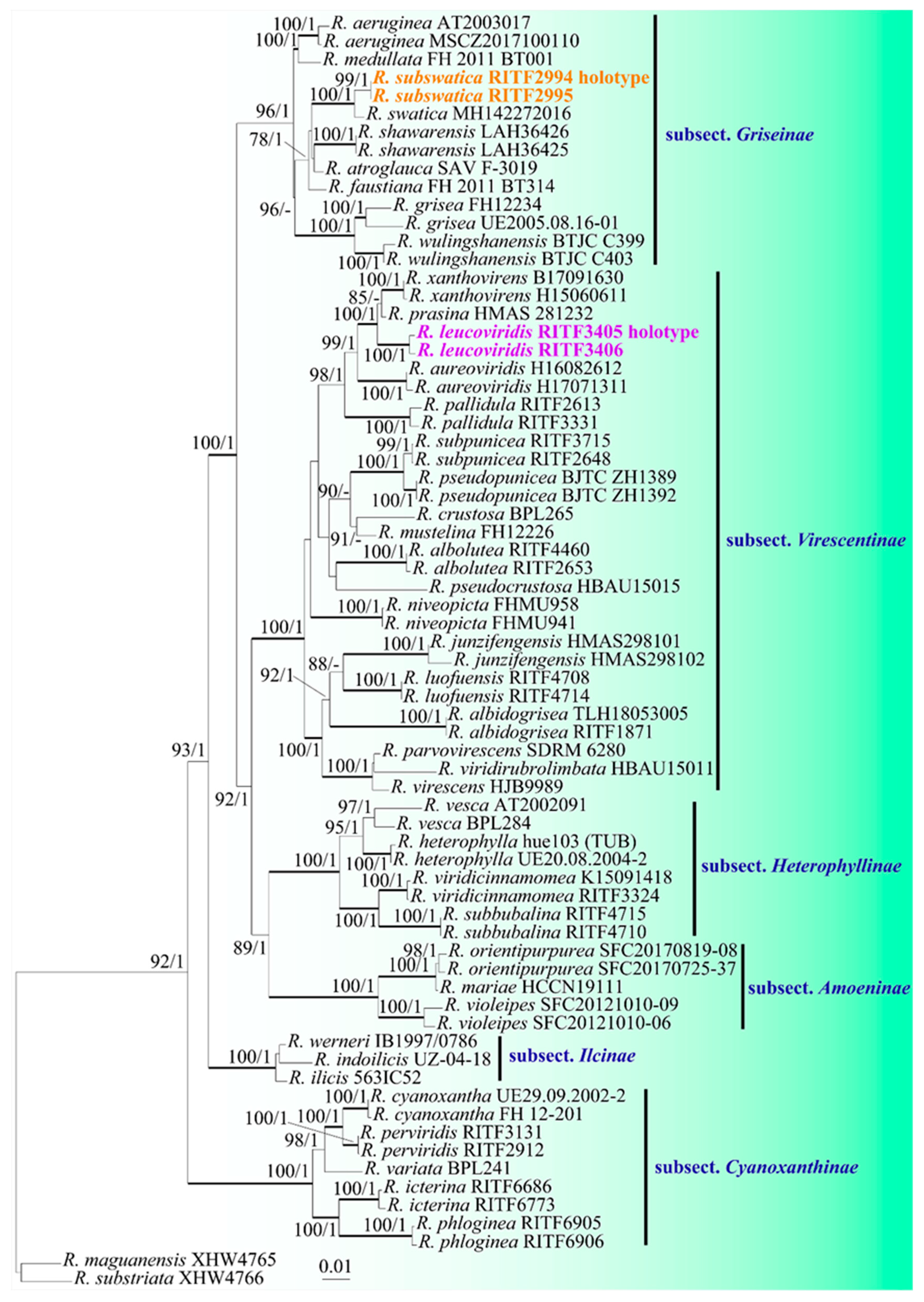 Preprints 121067 g001