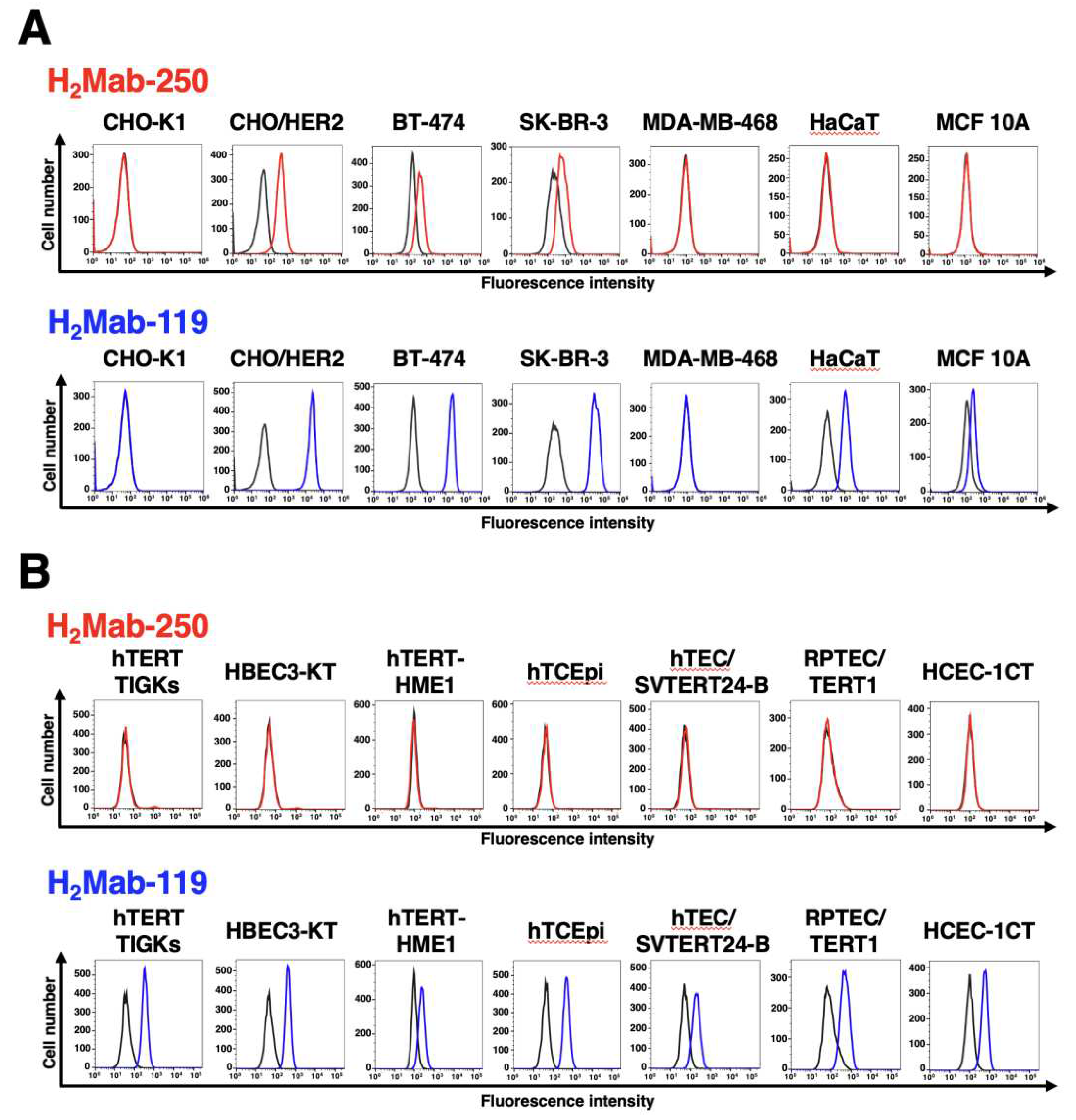 Preprints 91369 g001