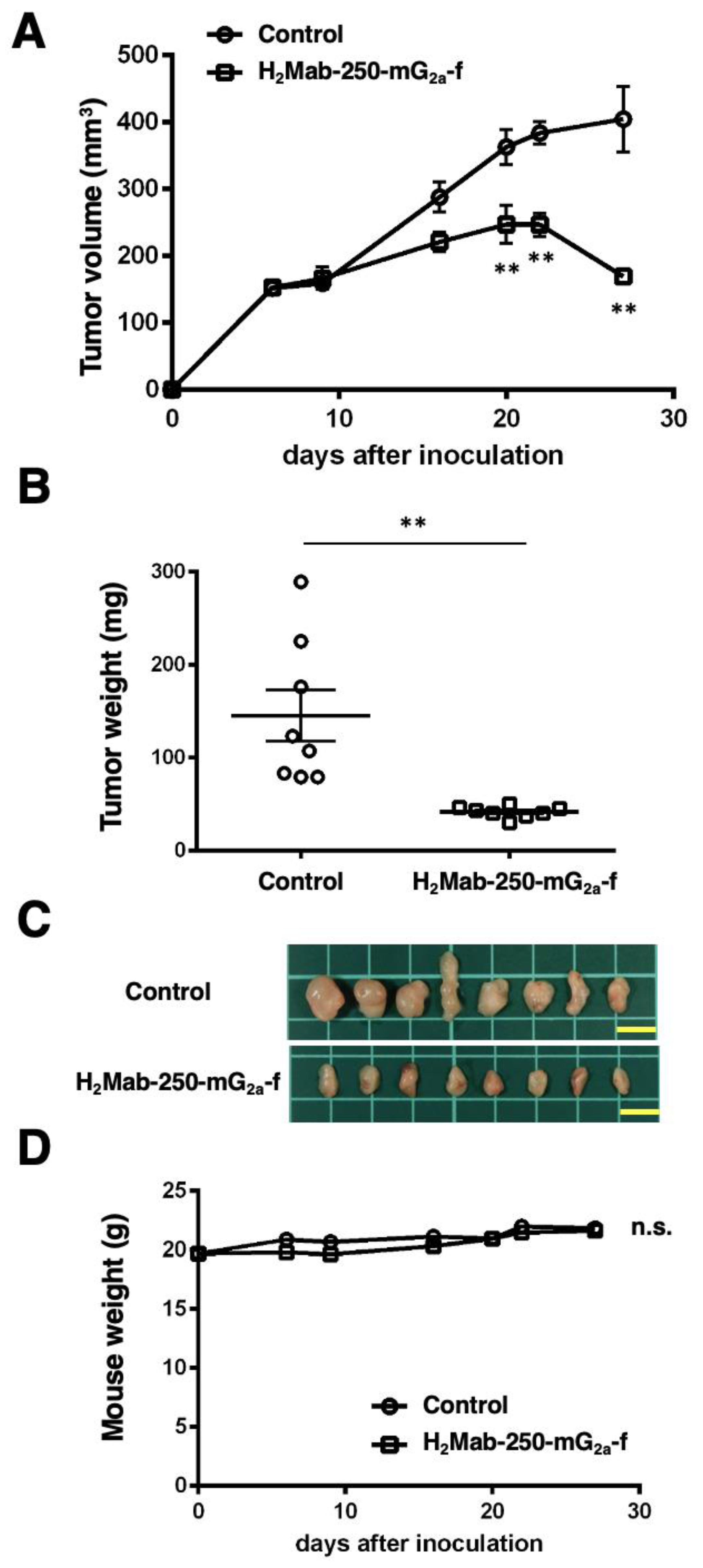 Preprints 91369 g005