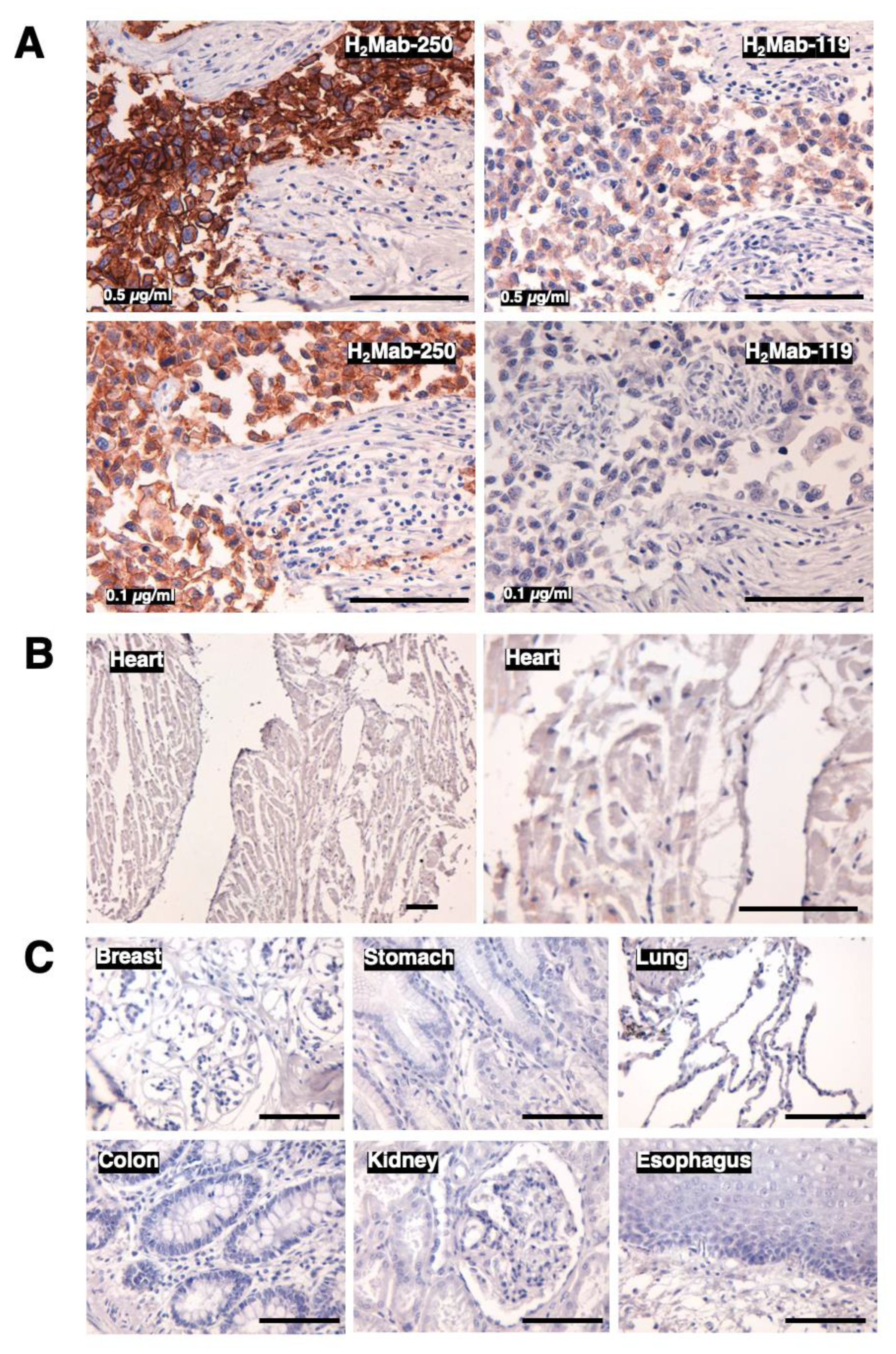 Preprints 91369 g006