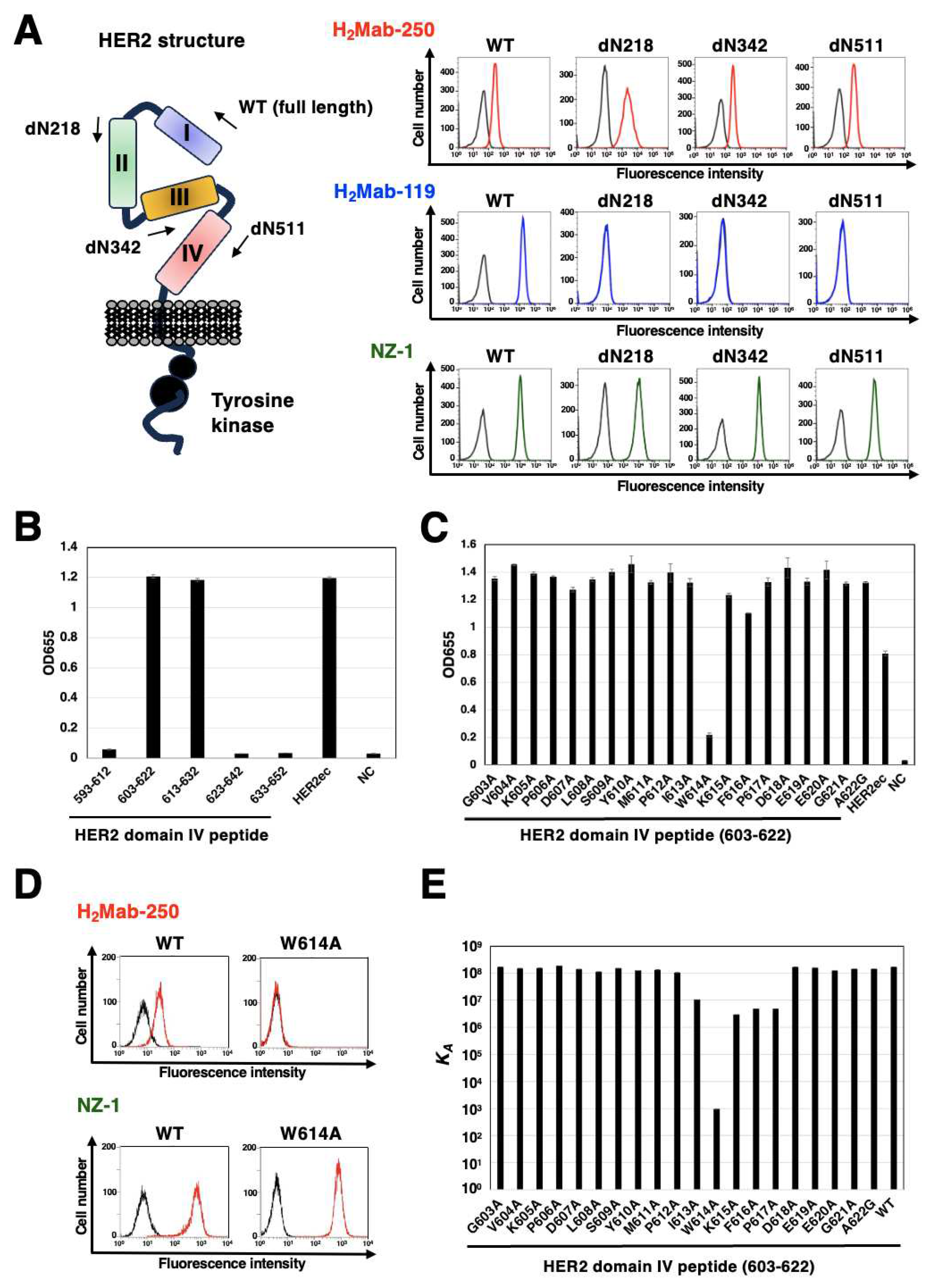 Preprints 91369 g007