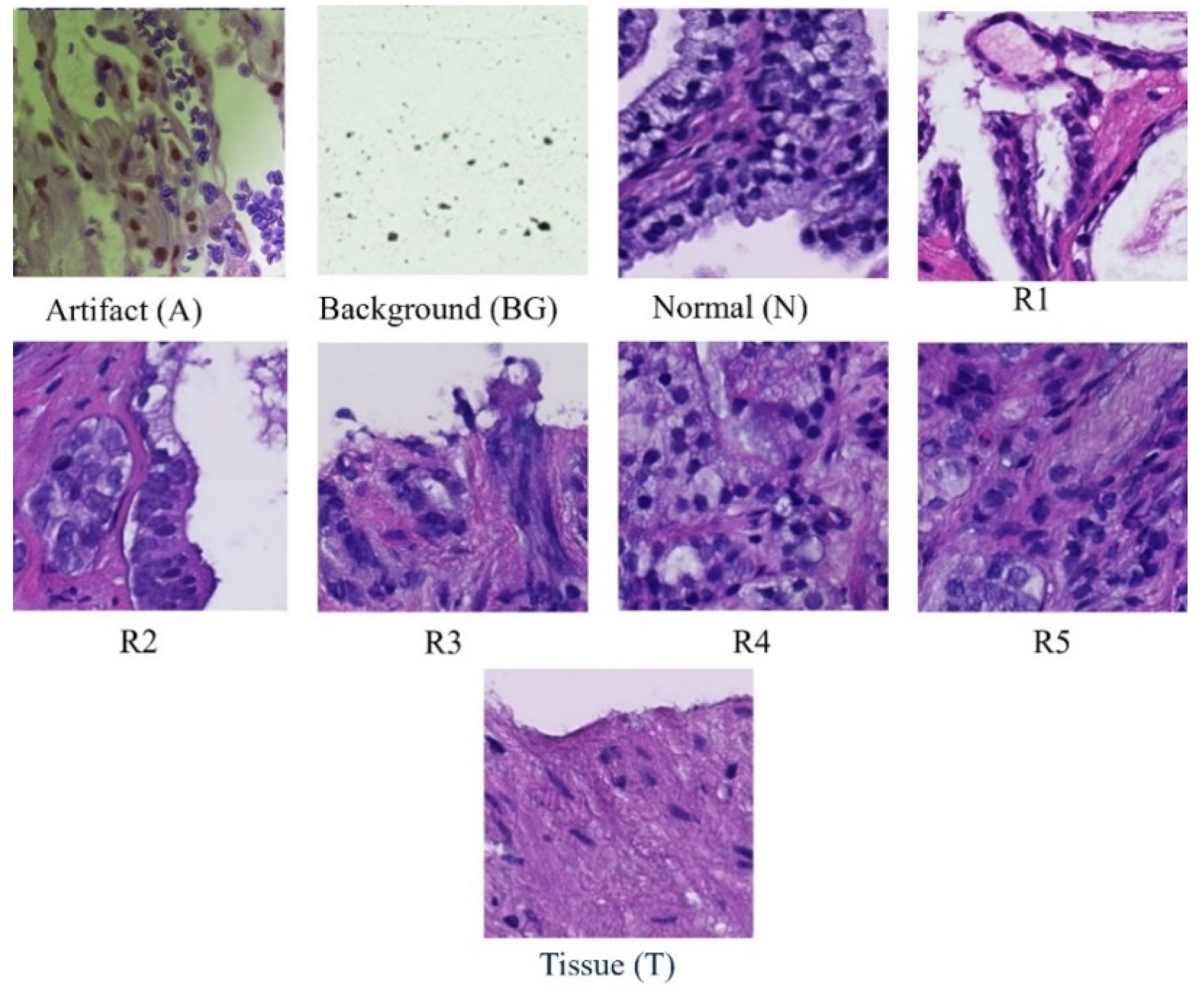 Preprints 105757 g001