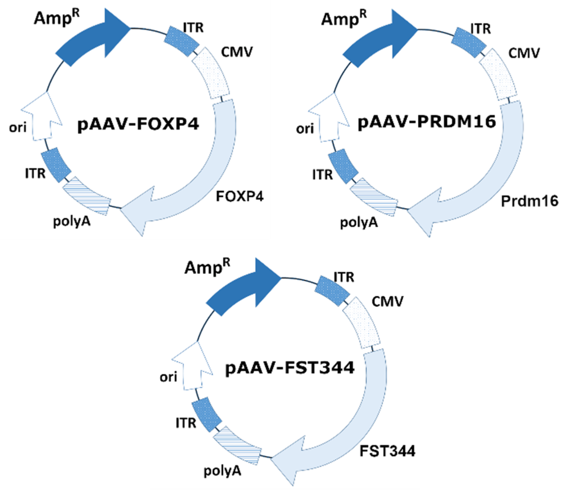 Preprints 119618 g001