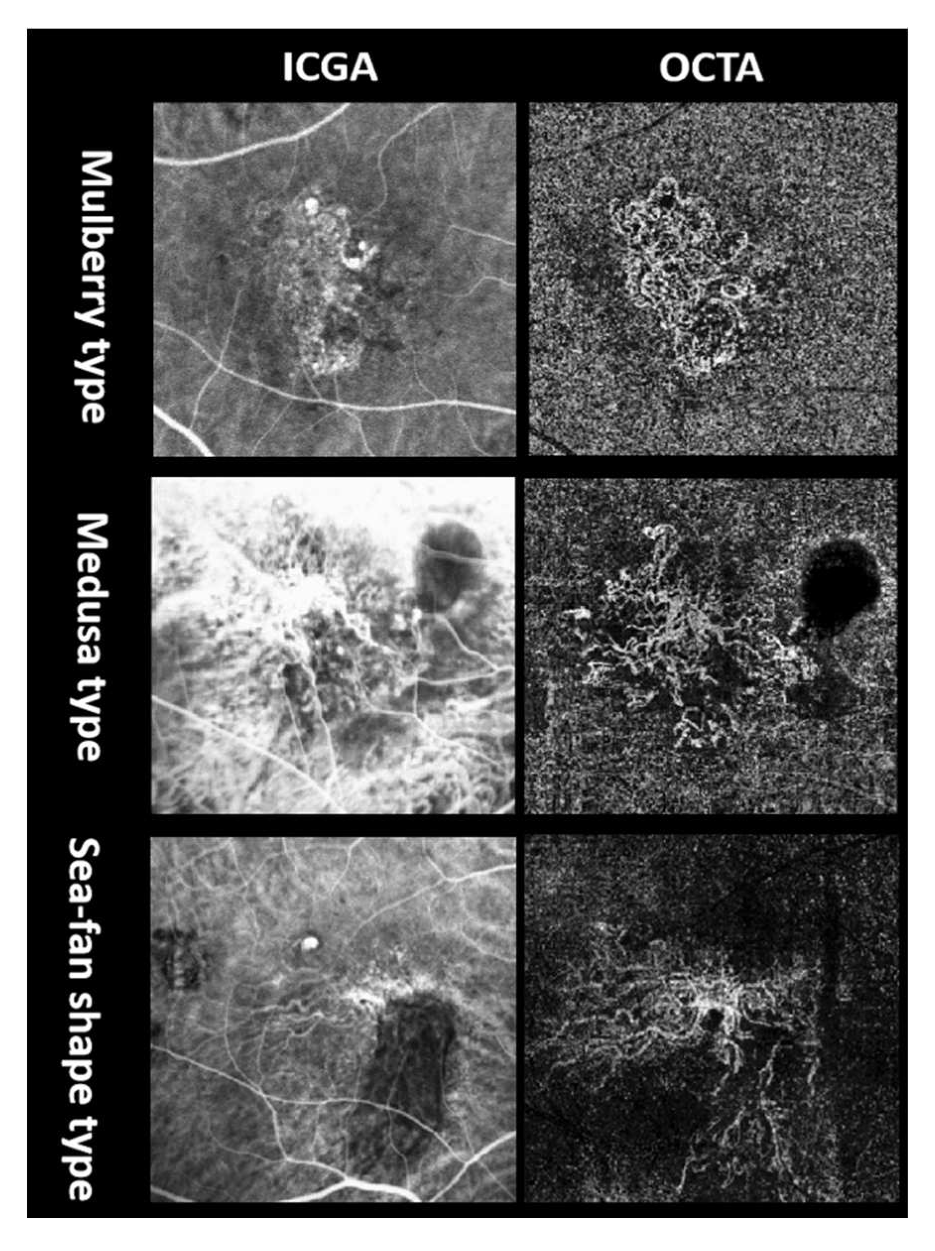 Preprints 80858 g002