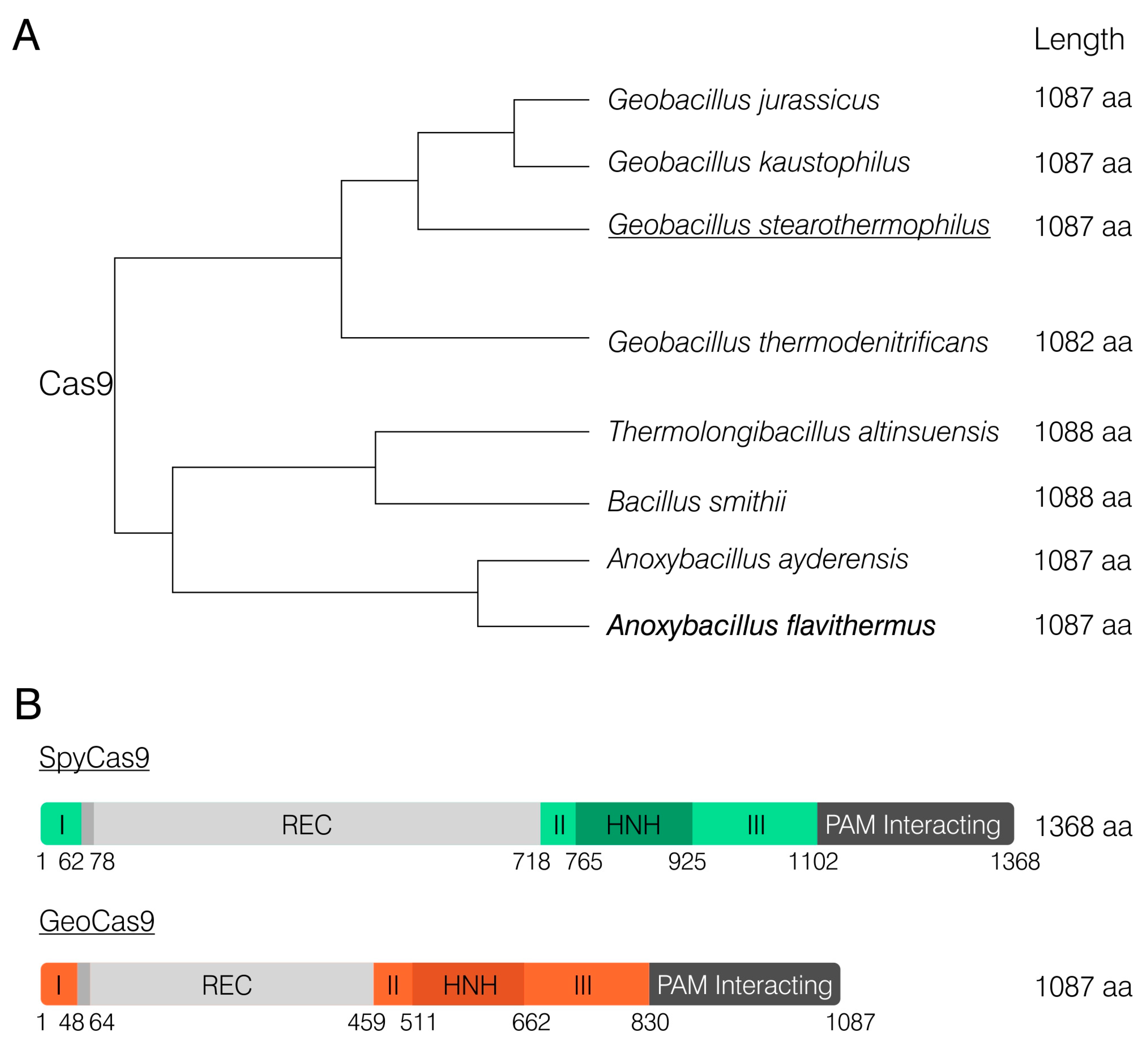 Preprints 89223 g001