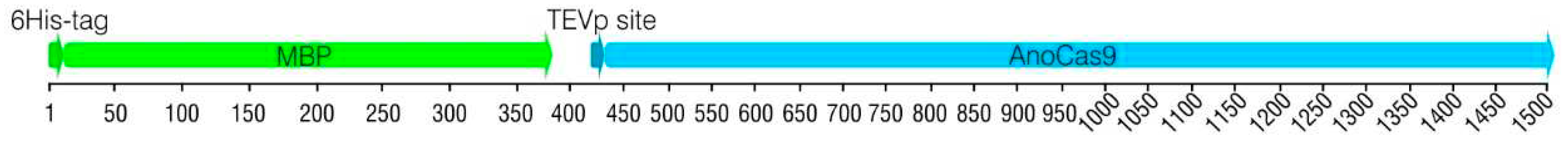 Preprints 89223 g003