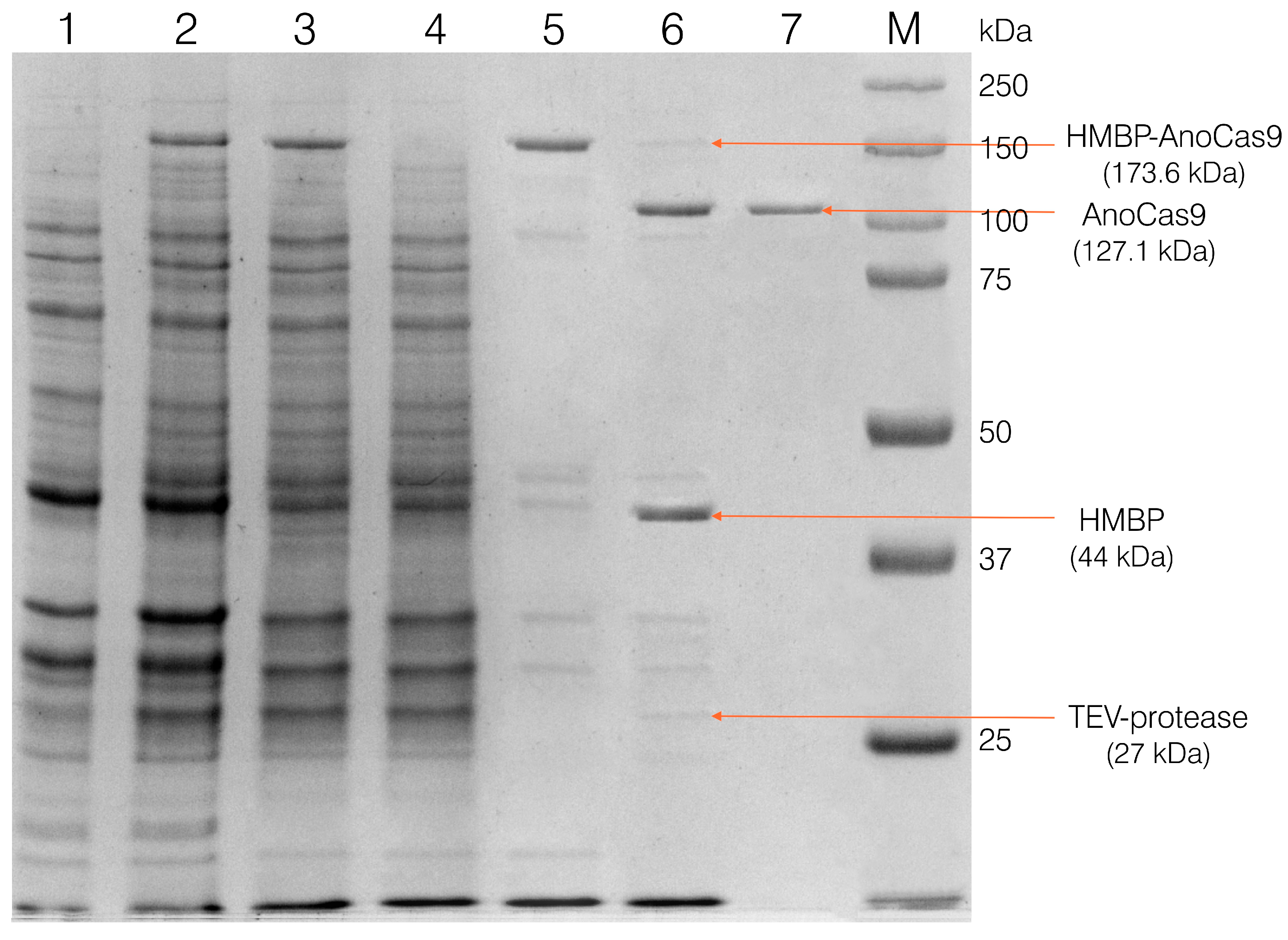 Preprints 89223 g004