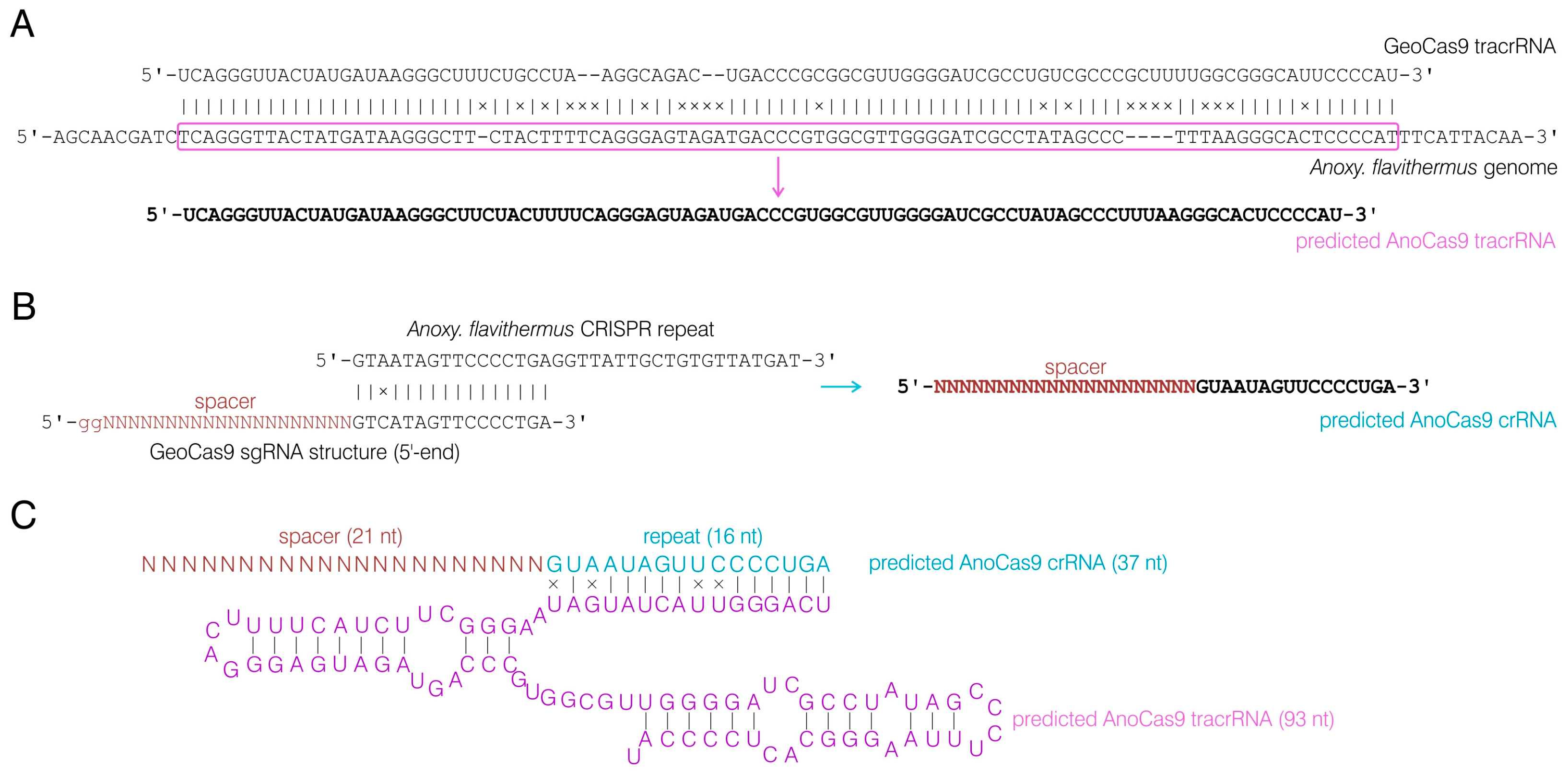 Preprints 89223 g006