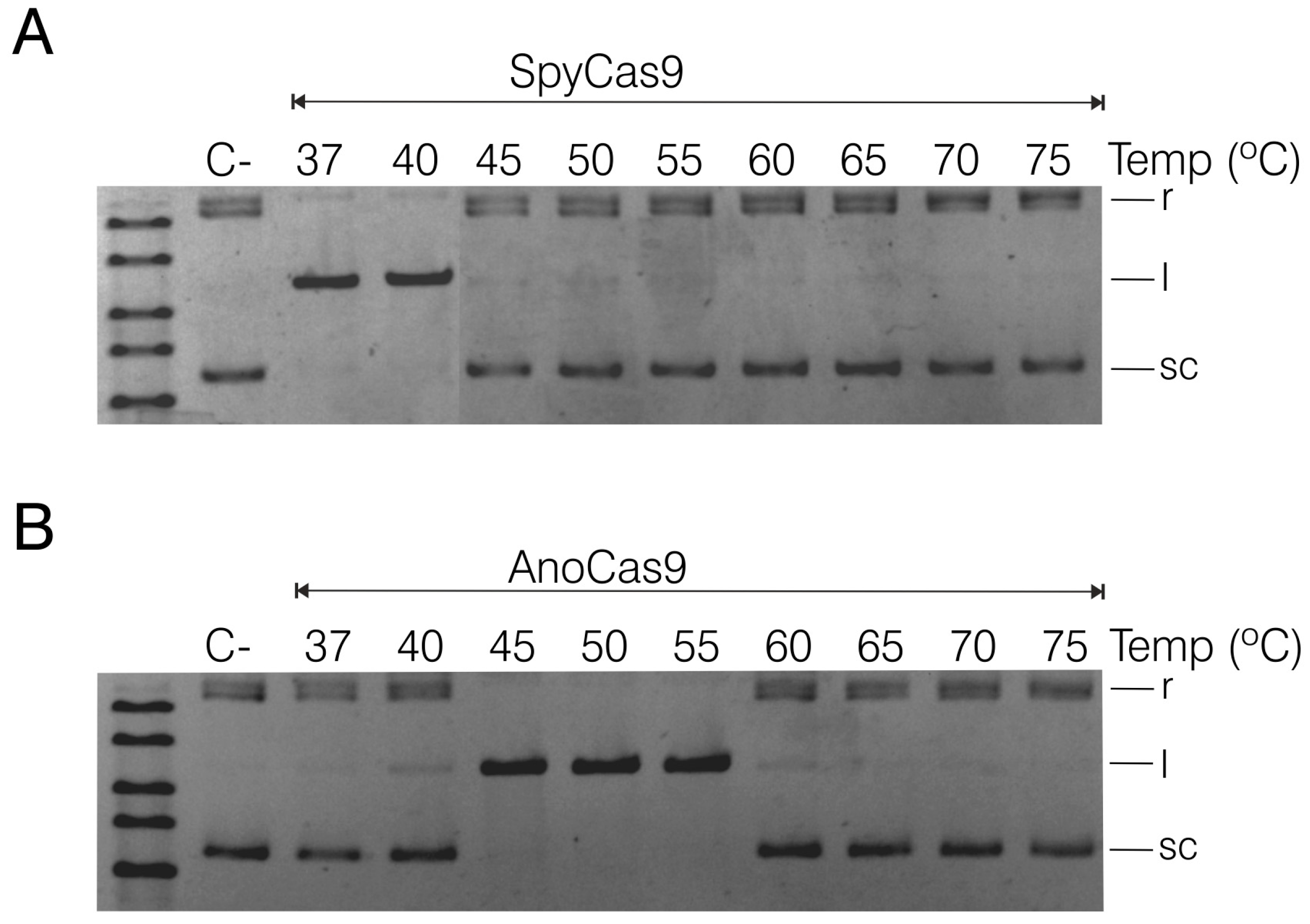 Preprints 89223 g007